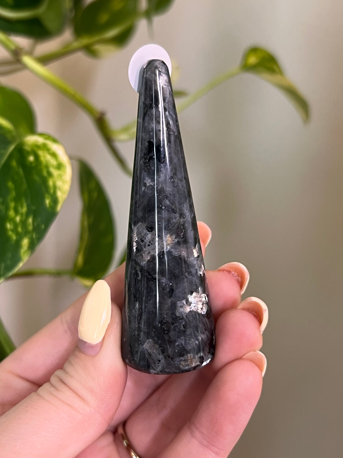 Flashy Larvikite Ring Holder - 7