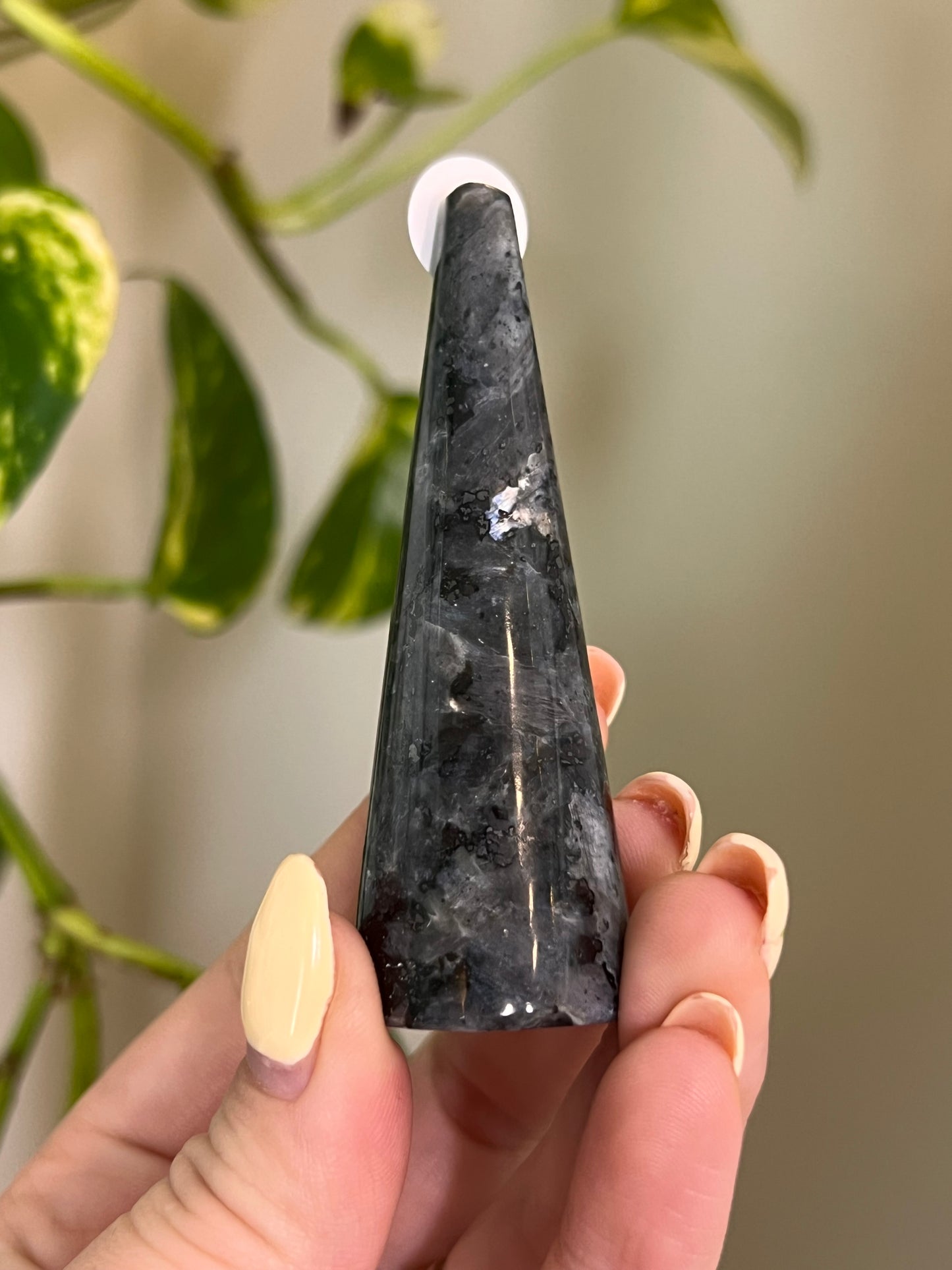 Flashy Larvikite Ring Holder - 2