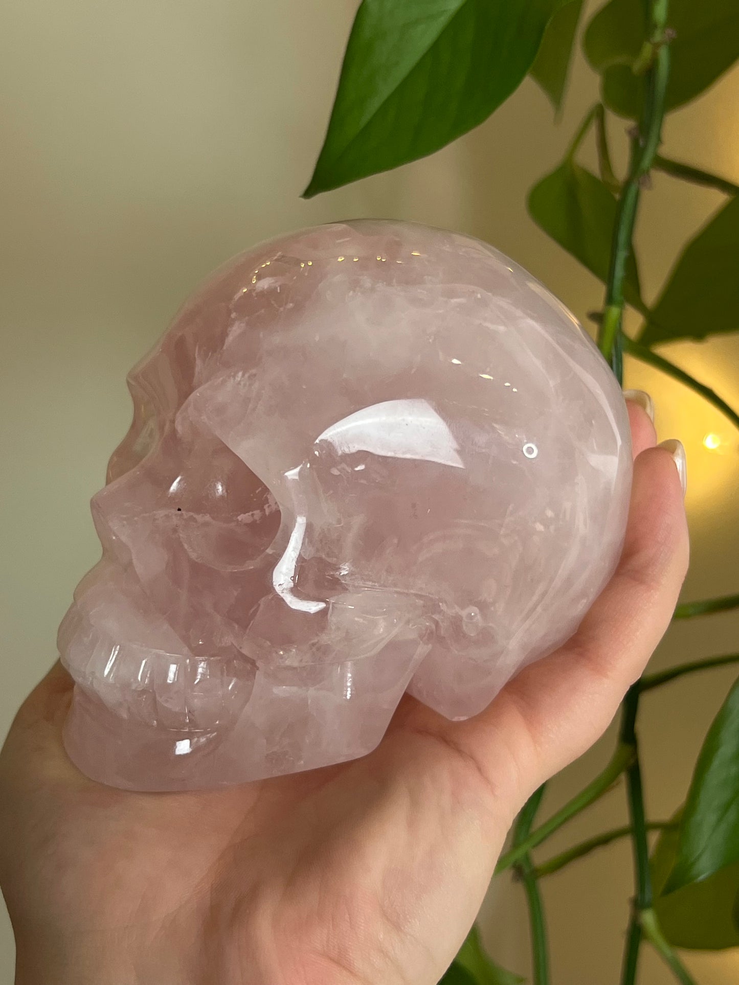 High Quality Rose Quartz XLarge Statement Skull