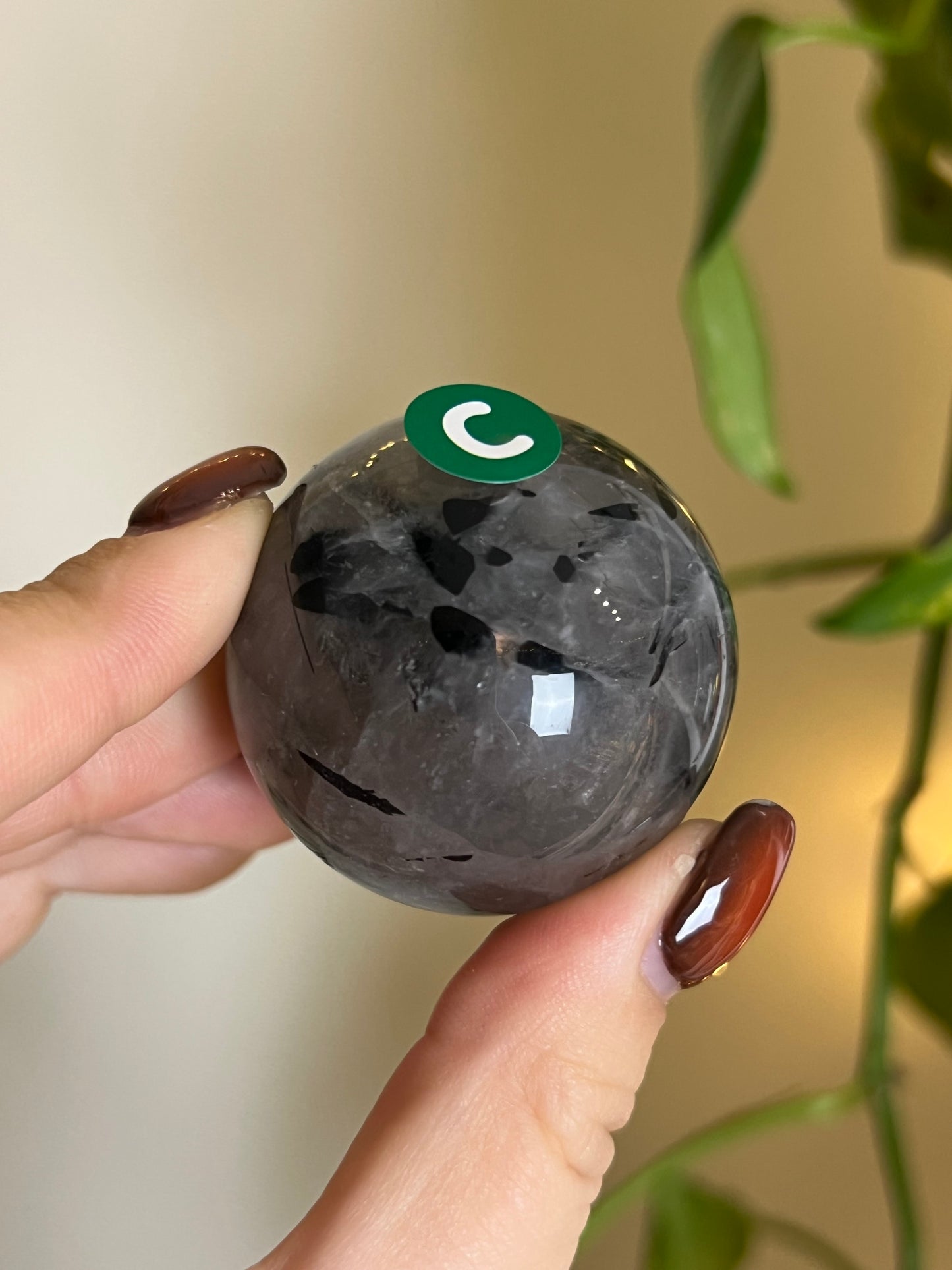 Black Tourmaline in Quartz Sphere - C