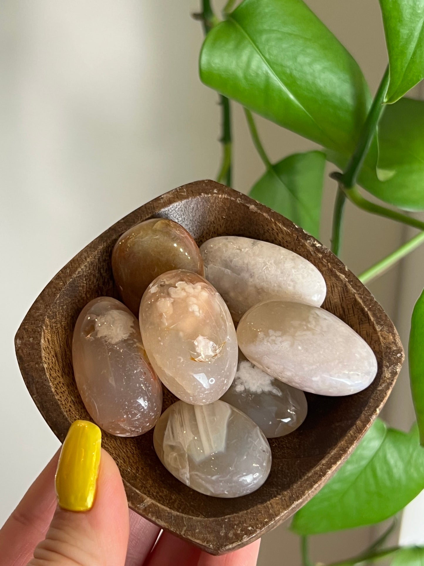 Flower Agate Tumbled