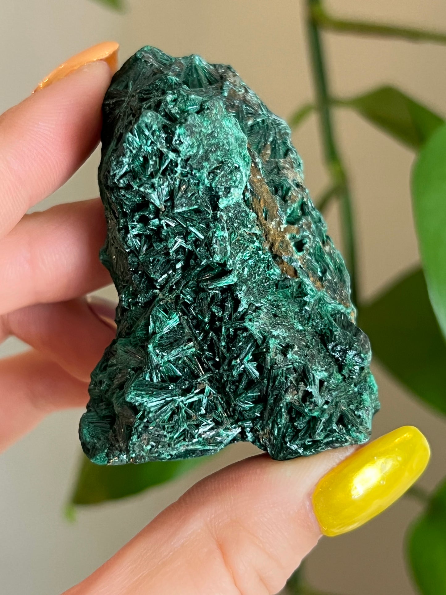 Velvet Malachite Raw L