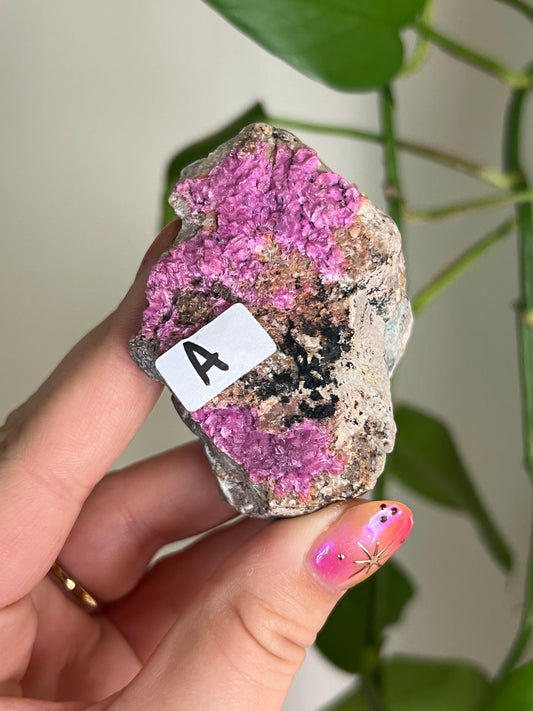 Bright Pink Cobalt Calcite Specimen - A