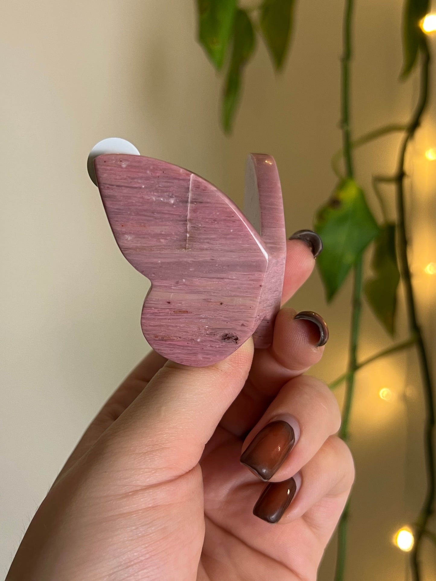 Pink Petrified Wood 3D Butterfly - F