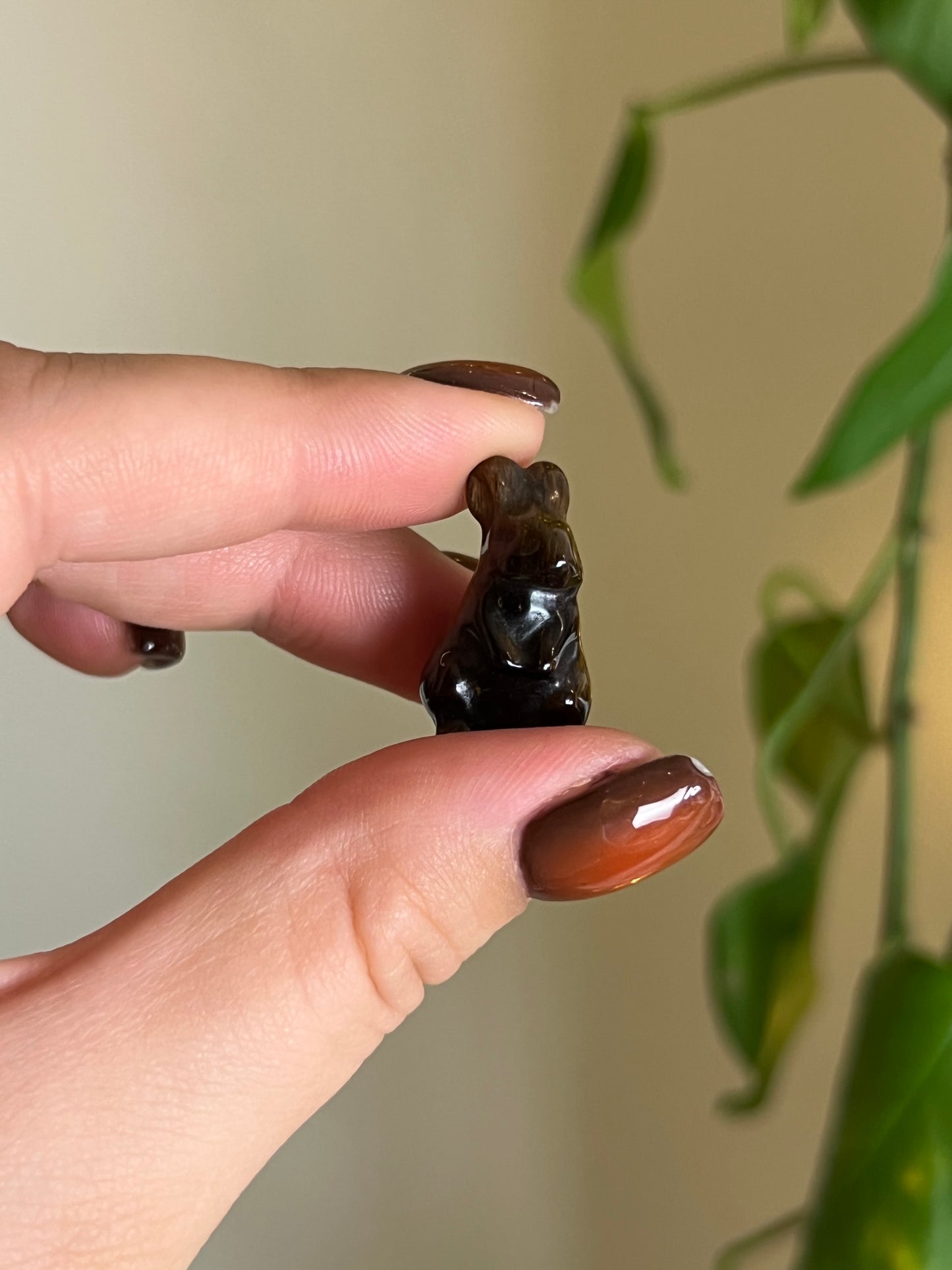 Mini Tigers Eye Rabbit