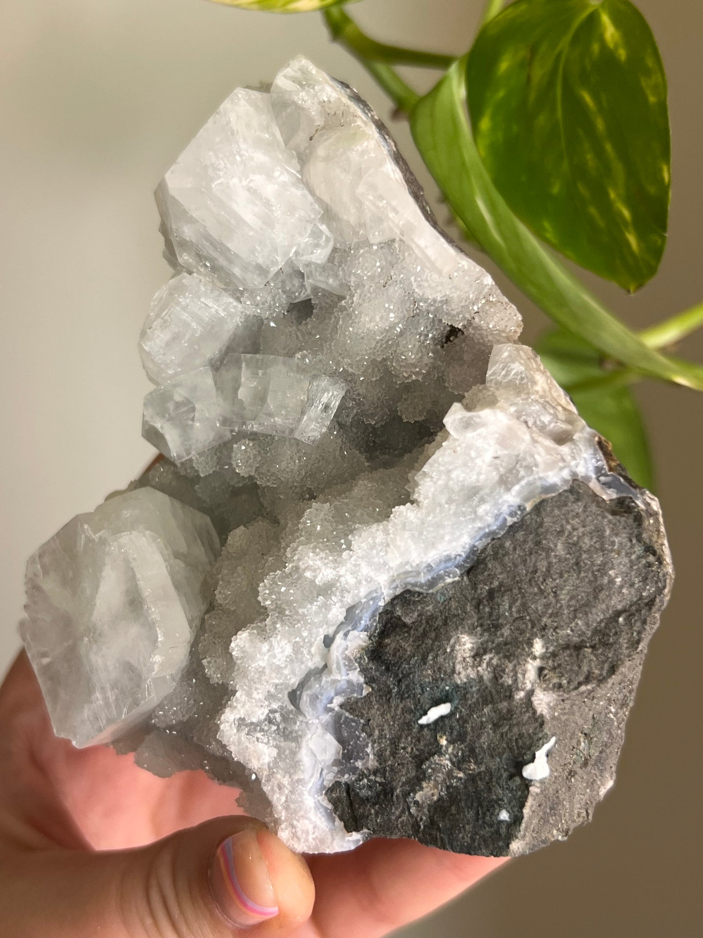 Apophyllite and Chalcedony Cluster - X