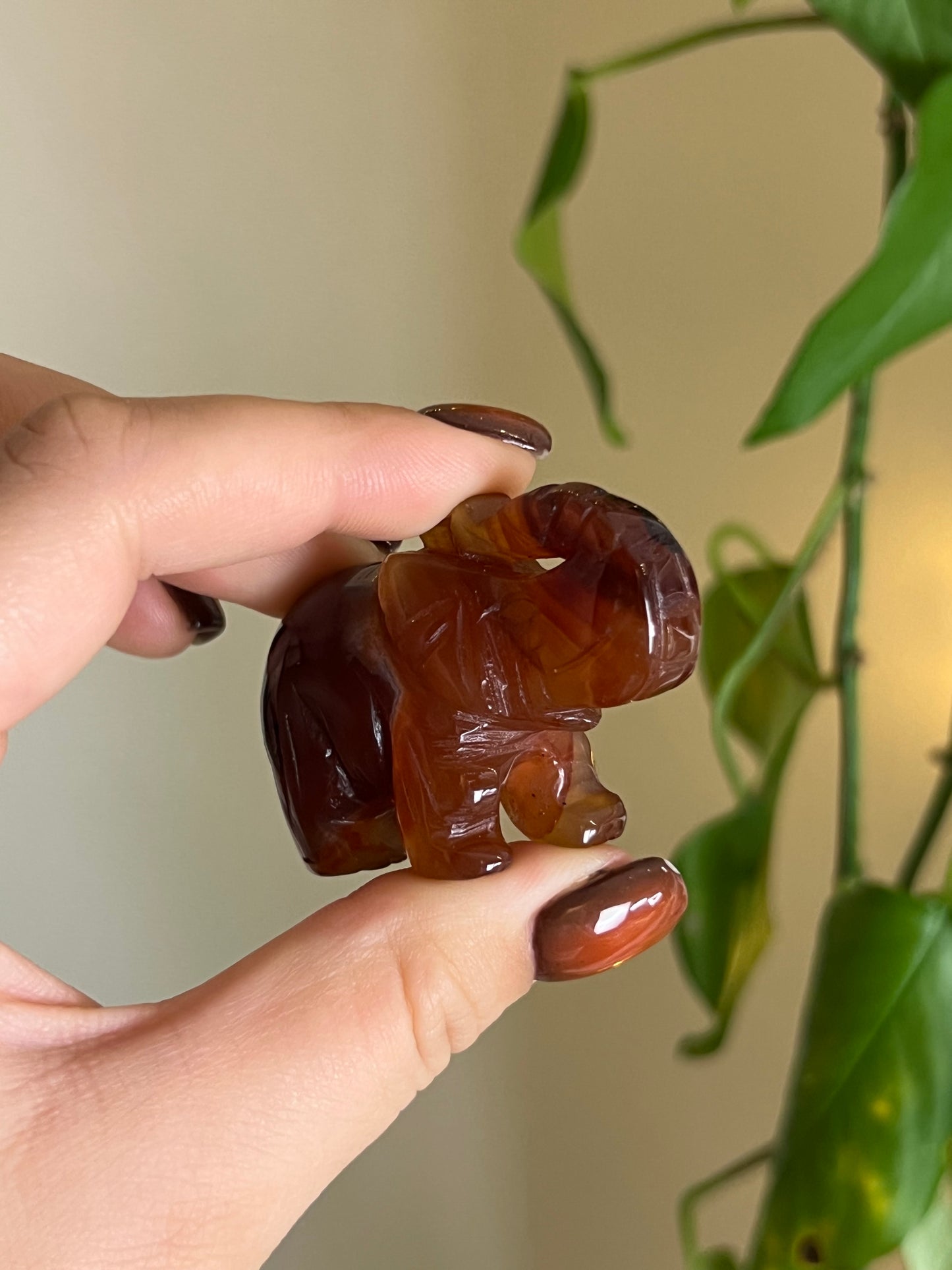 Carnelian Elephant