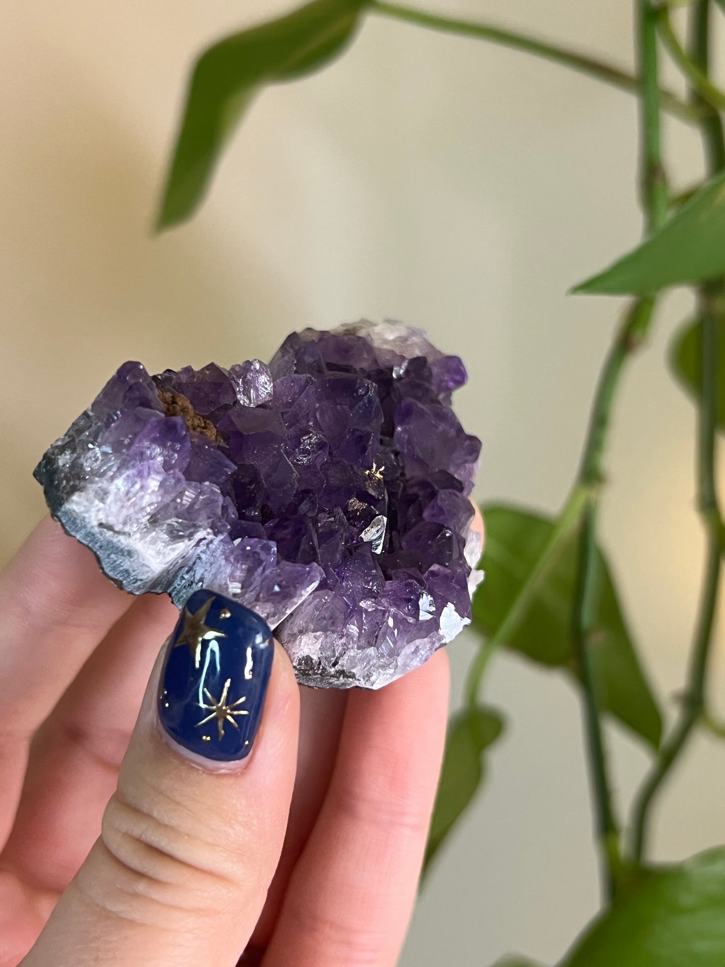 Amethyst Butterfly Cluster - P