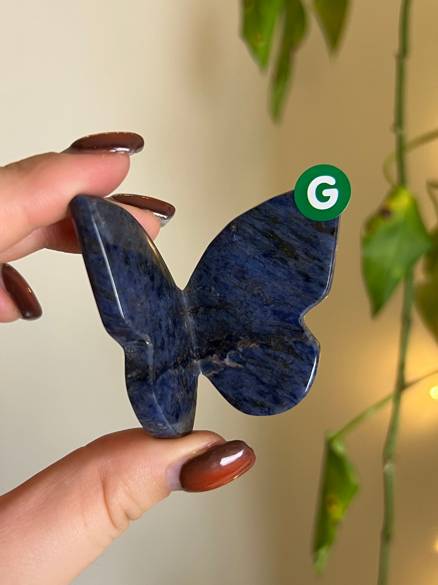 Sodalite 3D Butterfly - G
