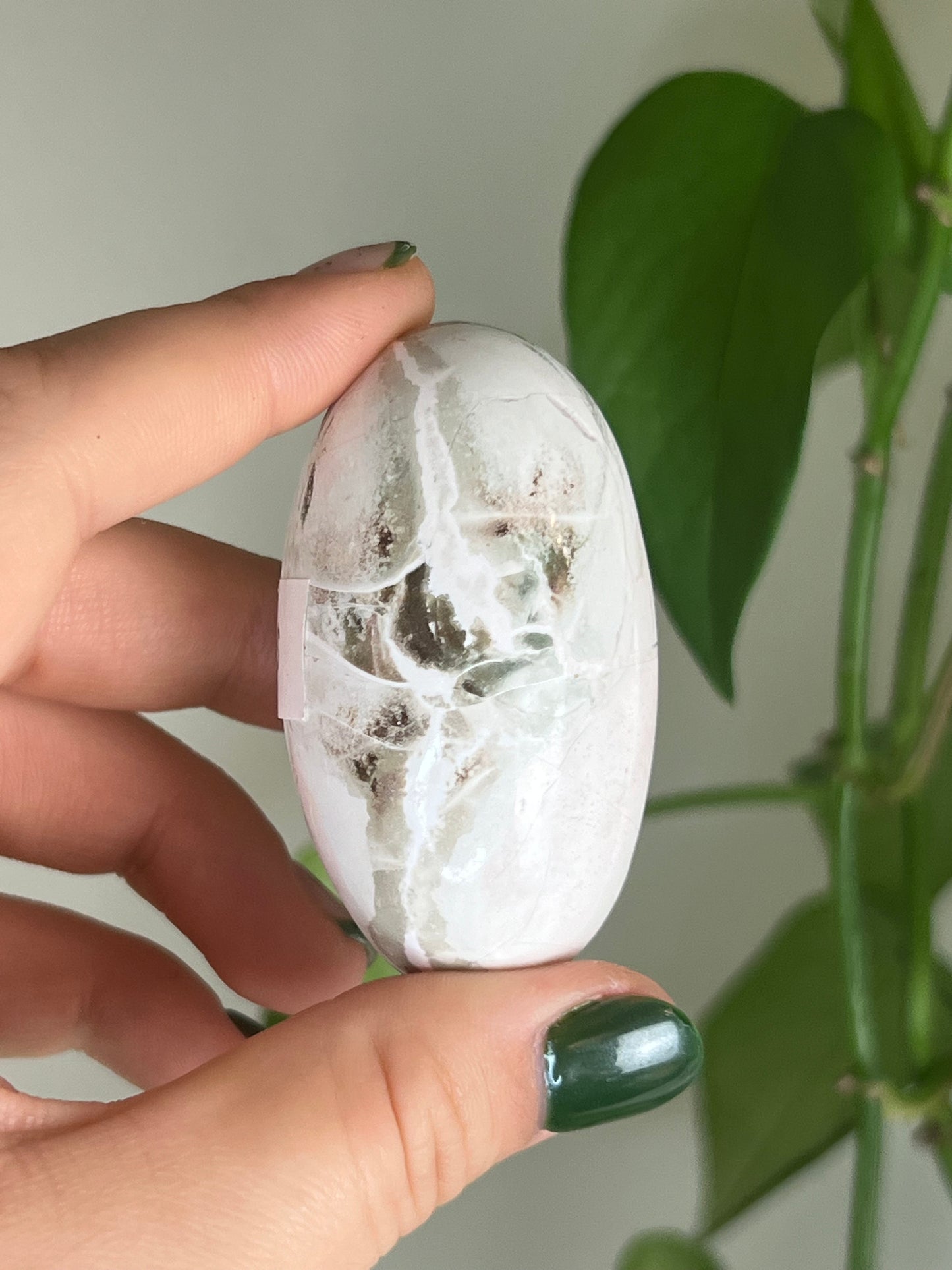 Pastel Unicorn Jasper Bean