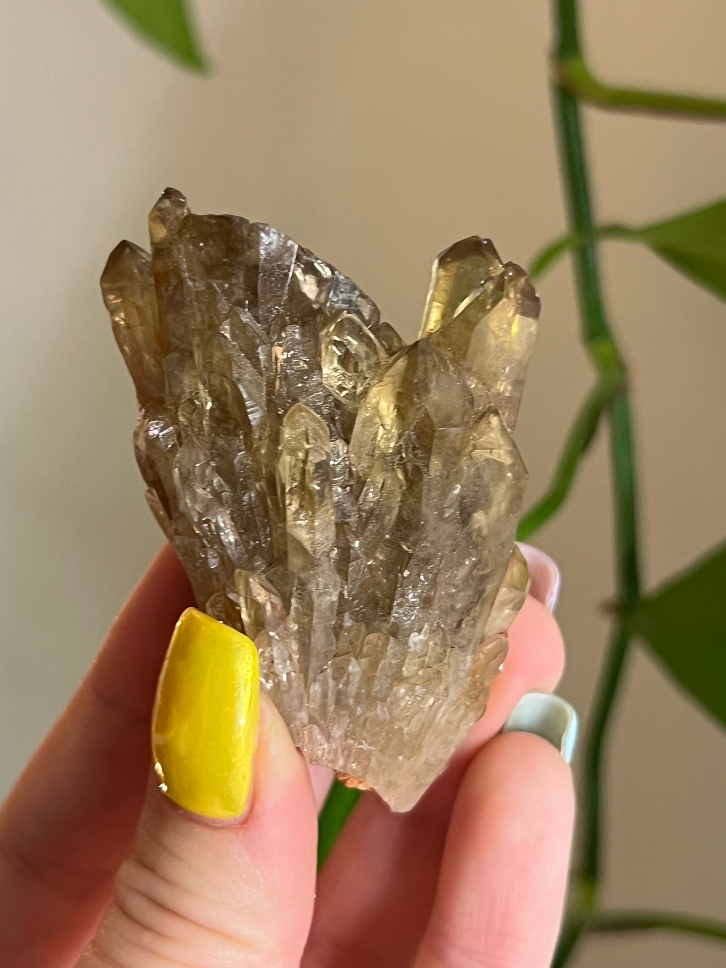 Natural Citrine Cluster