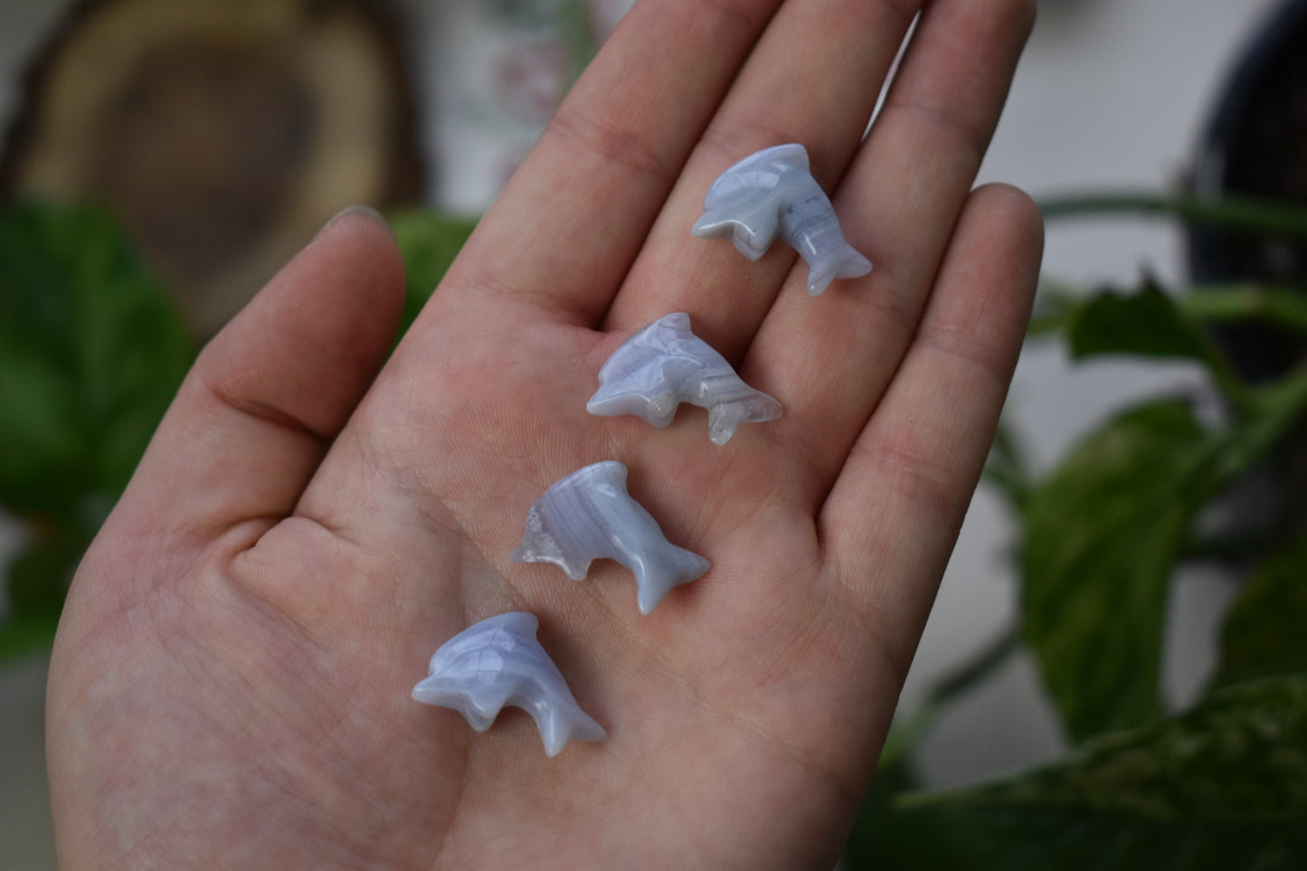 Blue Lace Agate Dolphin