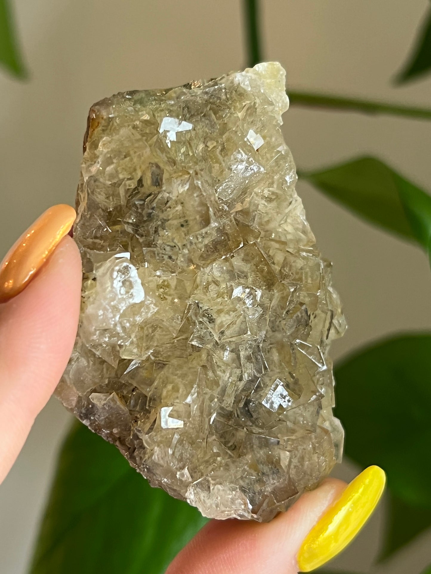 Yellow Fluorite Cluster Q