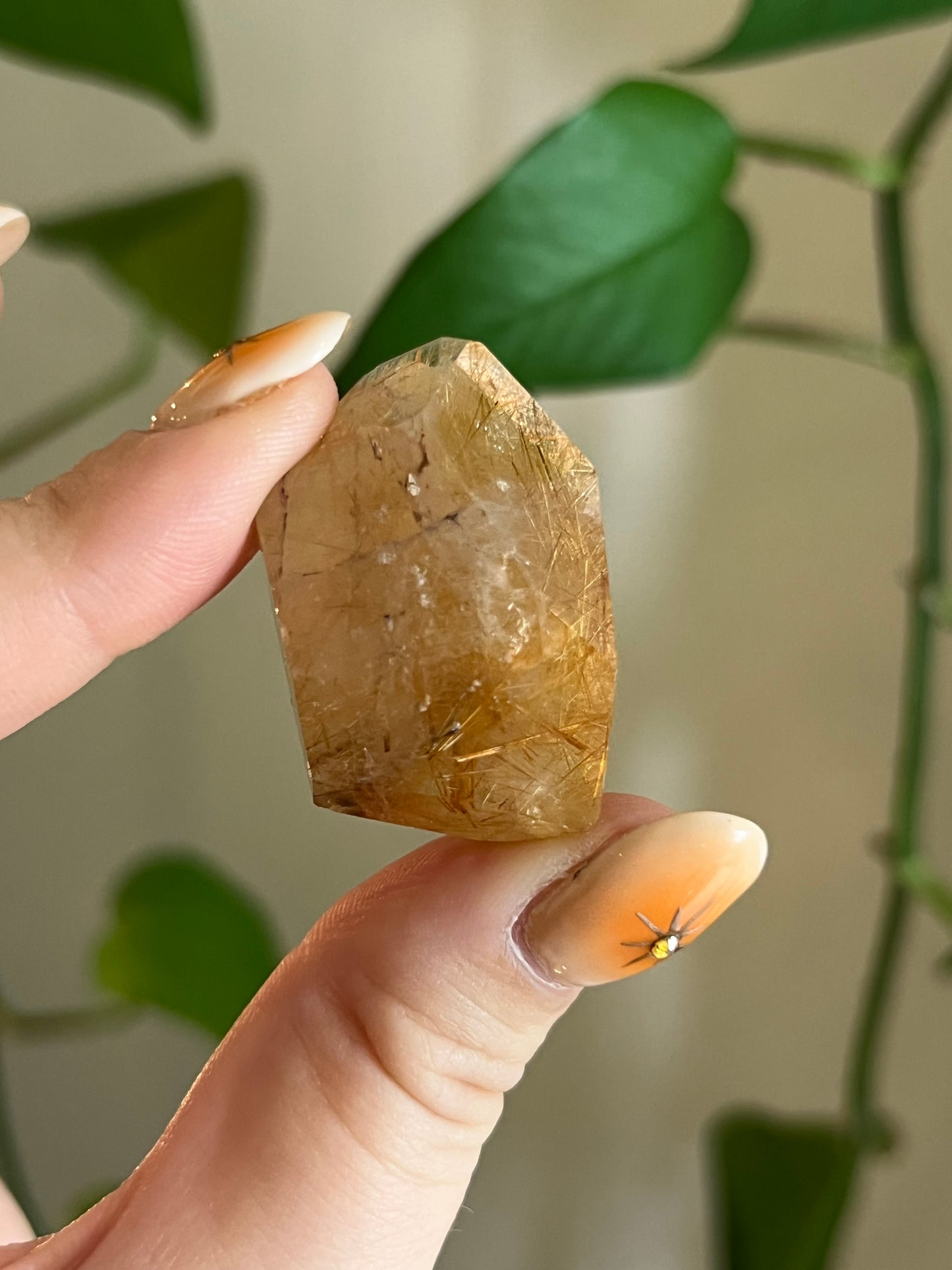 Golden Rutile Quartz Gusher - IZ