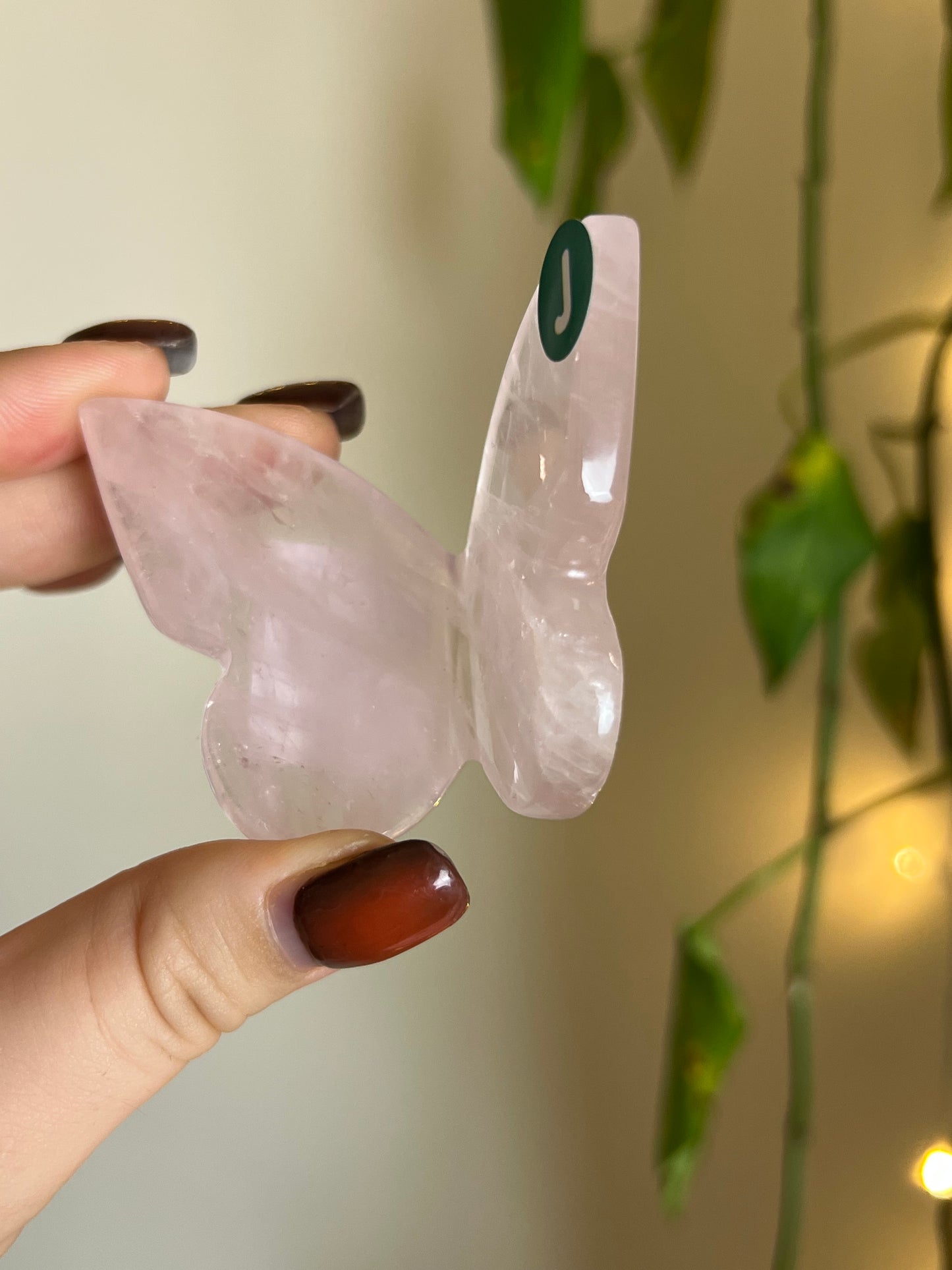 Rose Quartz 3D Butterfly - J