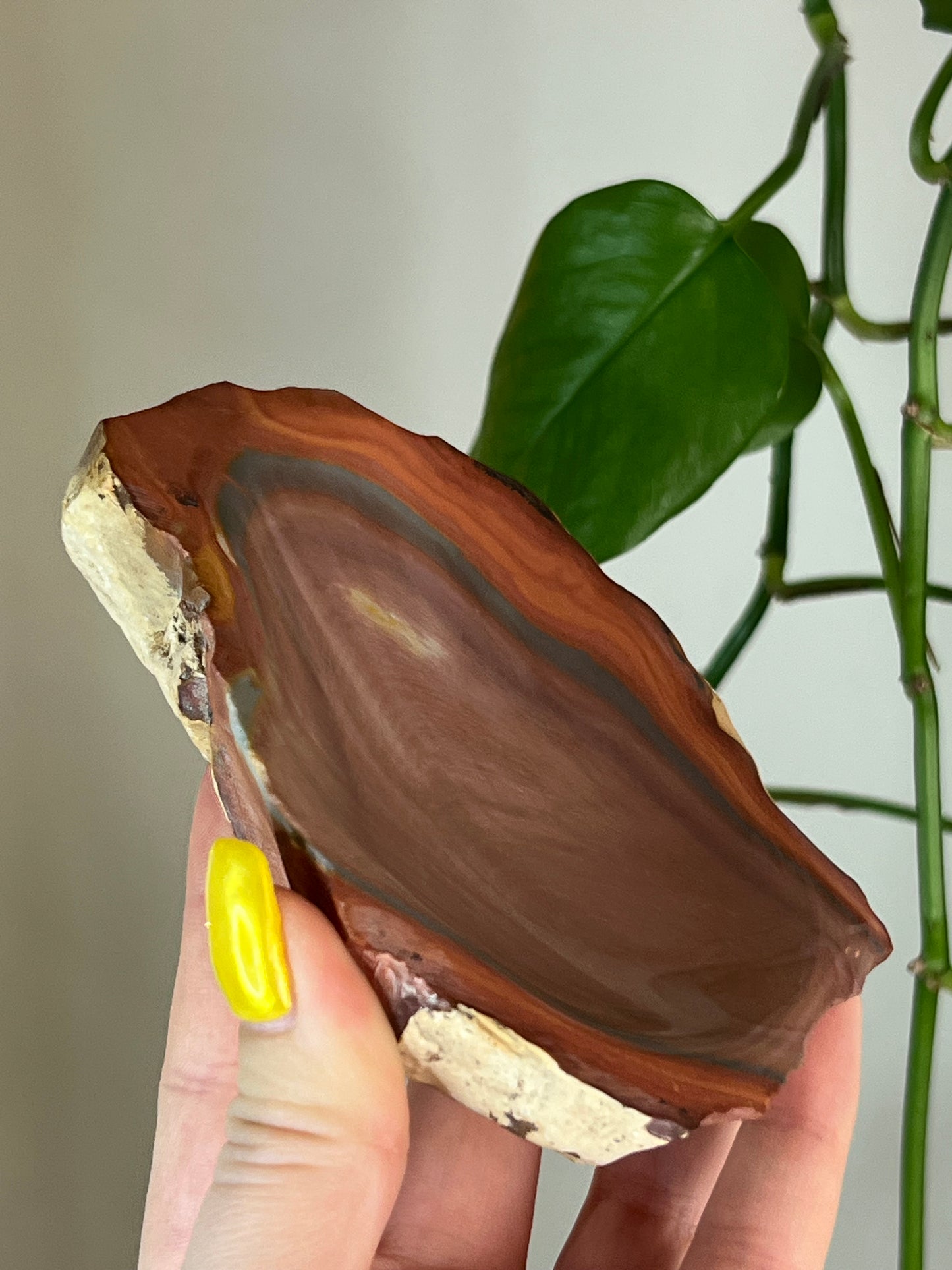Polychrome Jasper Bowl