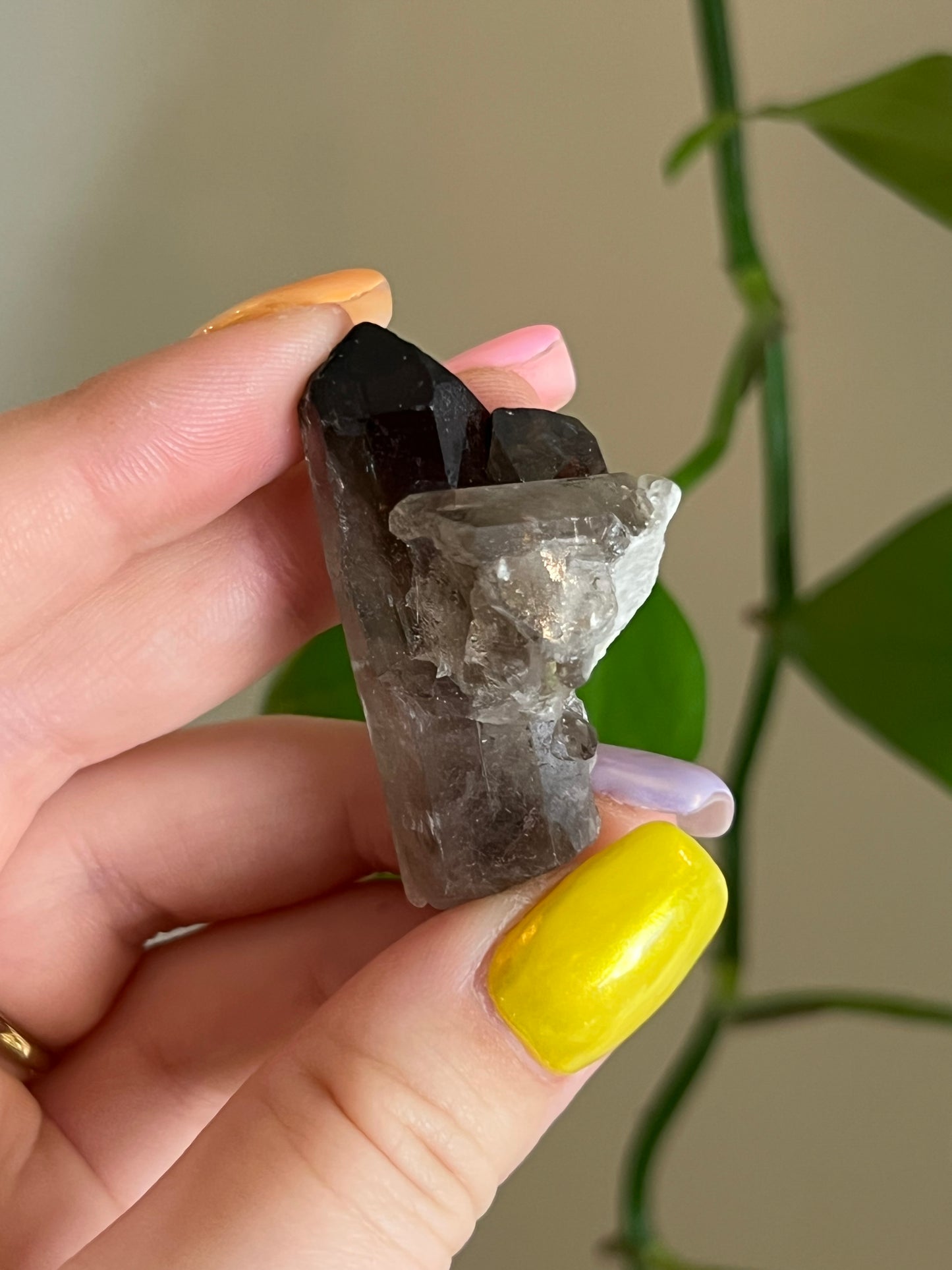 Mini Smoky Quartz Cluster Q