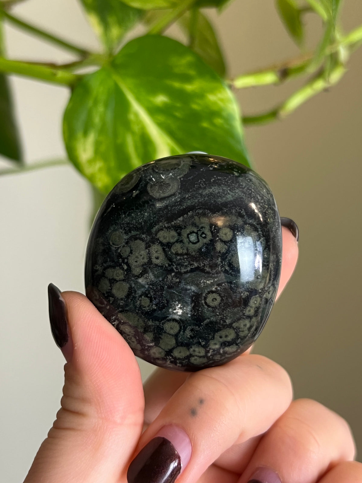 Kambaba Jasper Palm Stone - E
