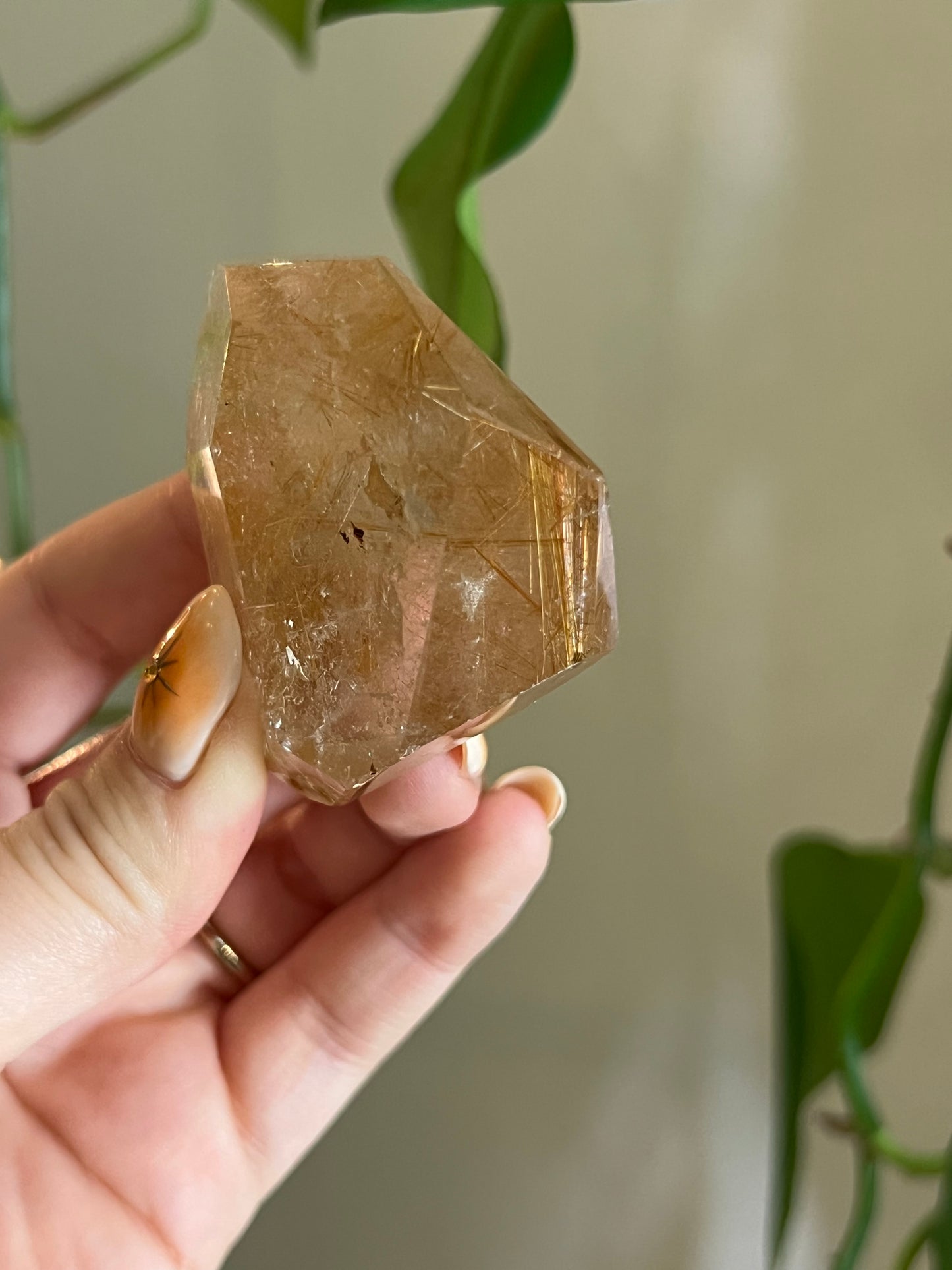 Golden Rutile Quartz Gusher - Z