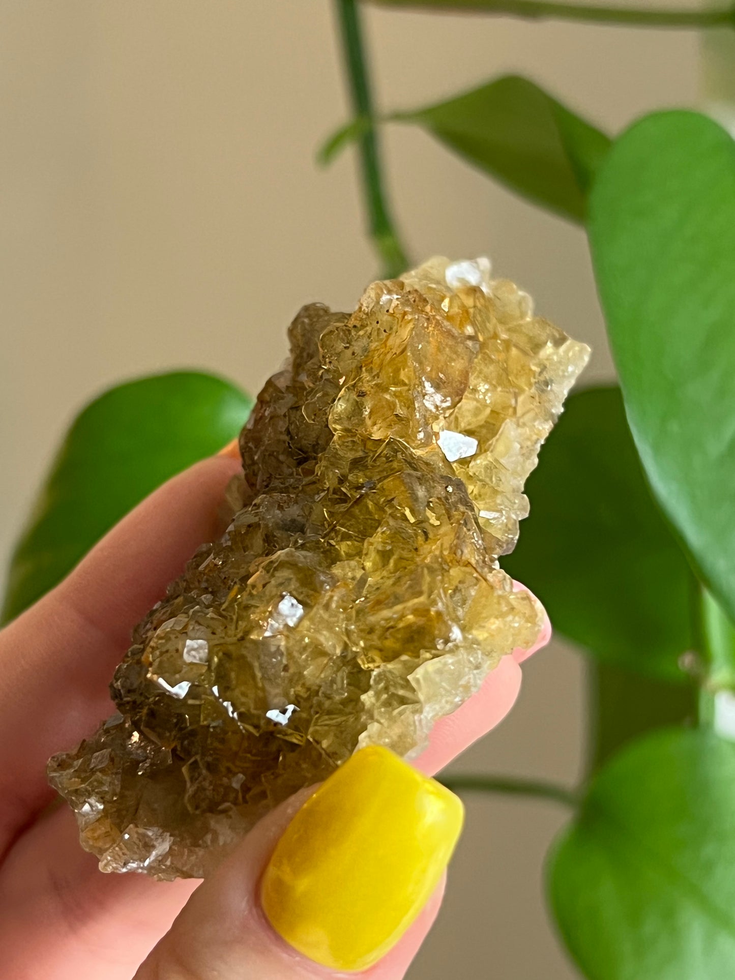 Yellow Fluorite Cluster E