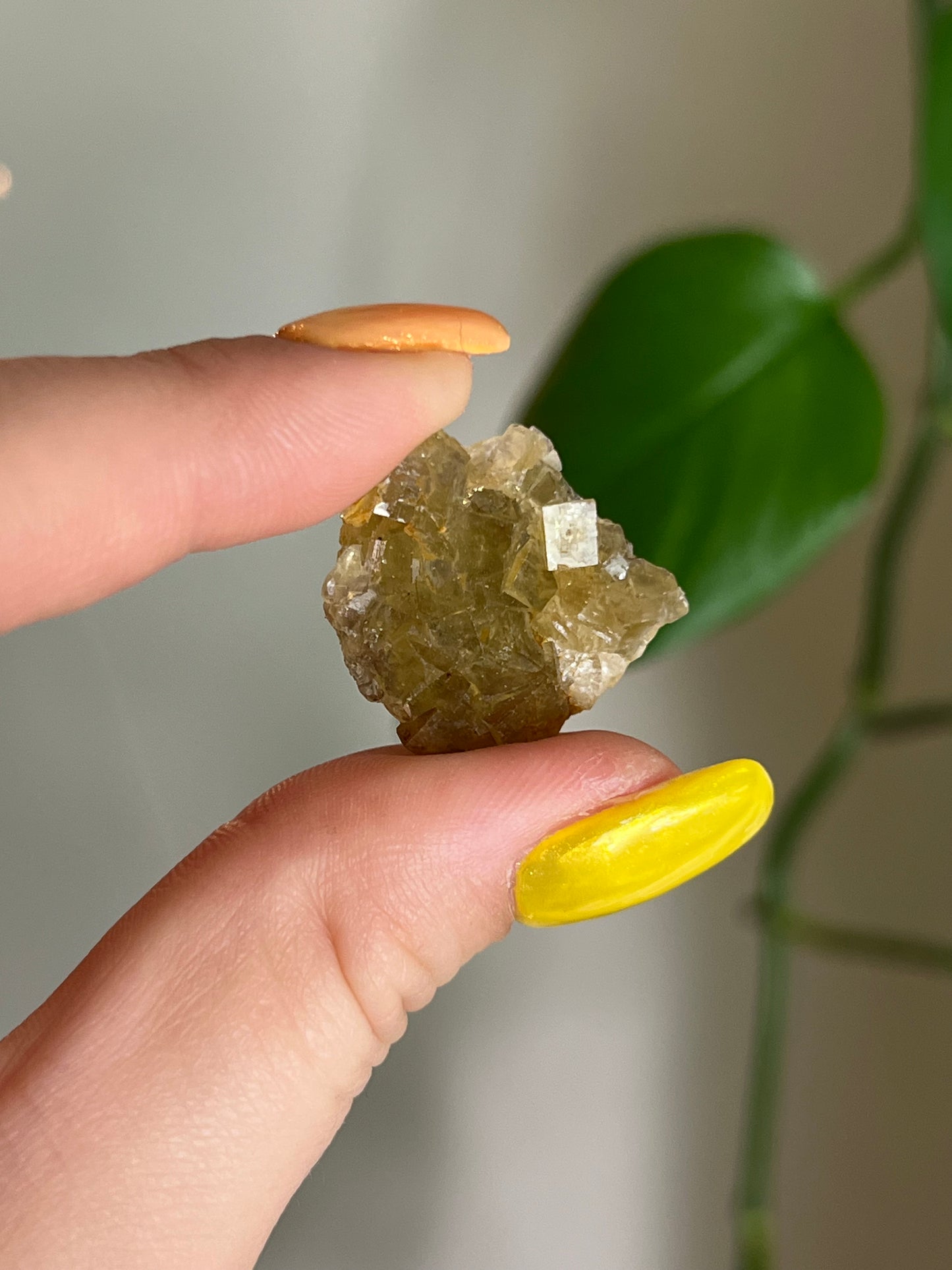 Mini Yellow Cubic Fluorite