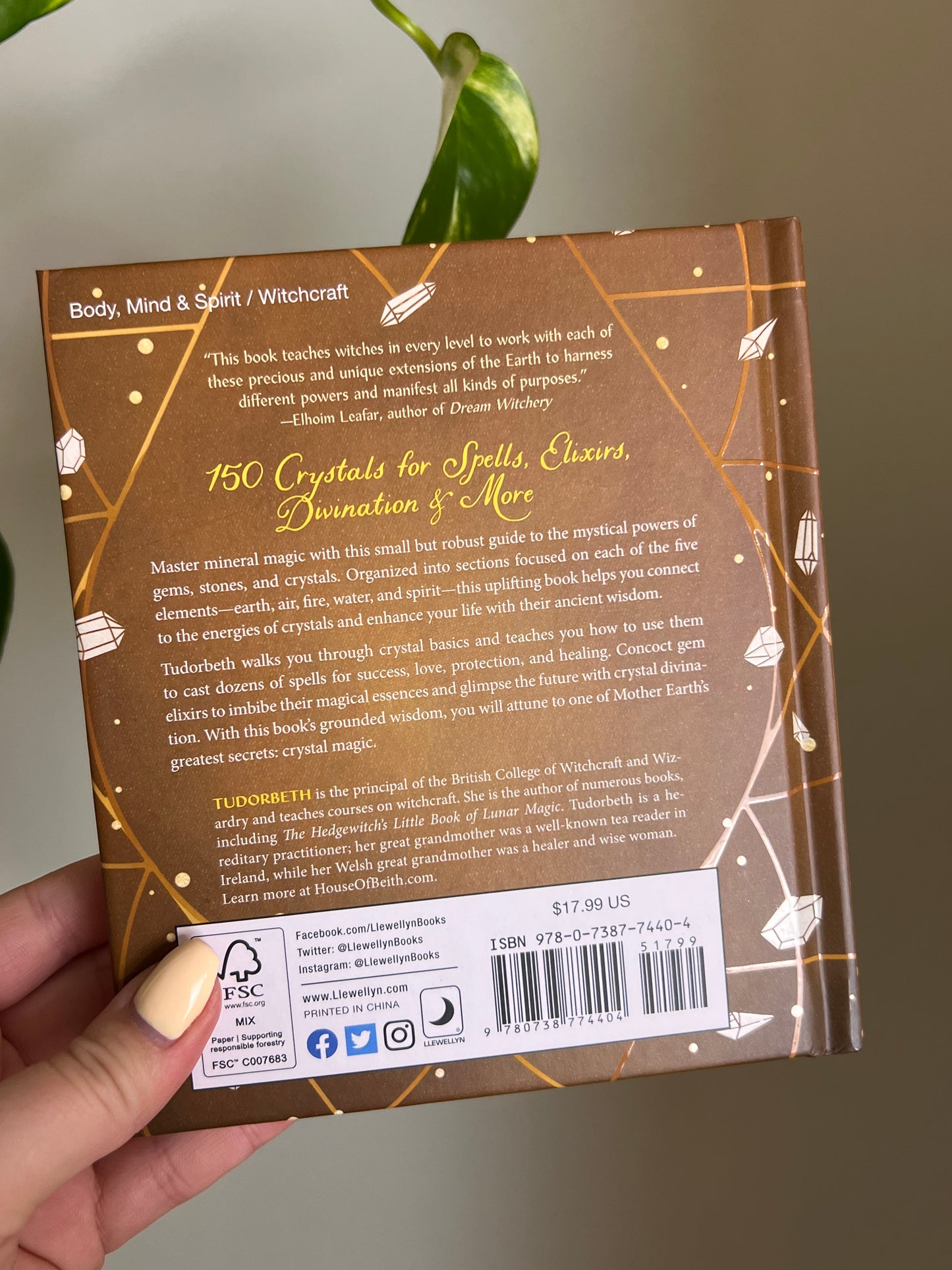 The Hedgewitch's Little Book of Crystal Spells