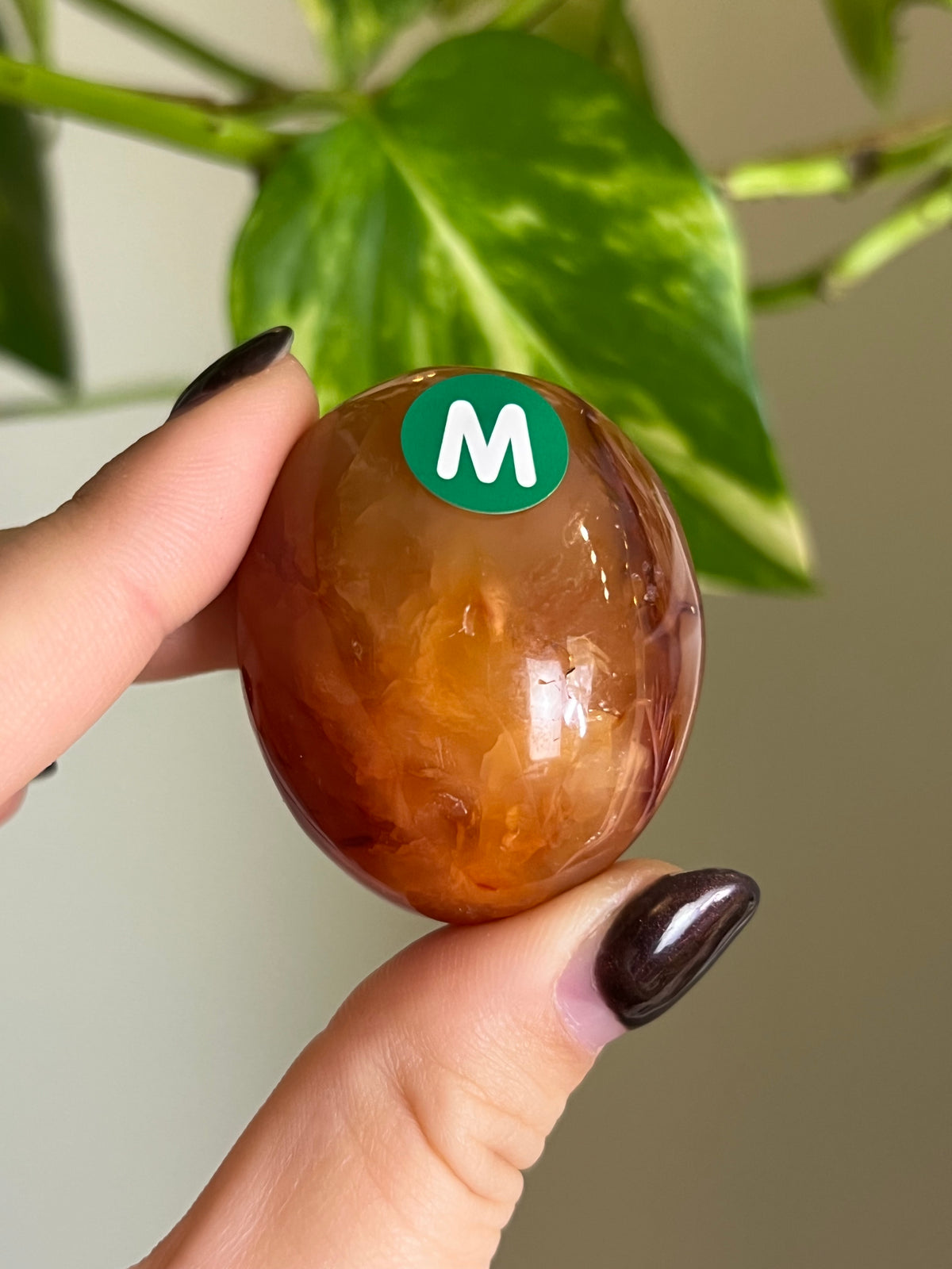 Carnelian Small Palm Stone - M