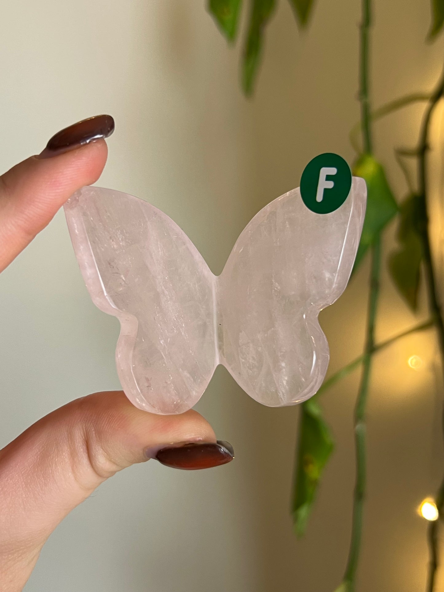 Rose Quartz 3D Butterfly - F