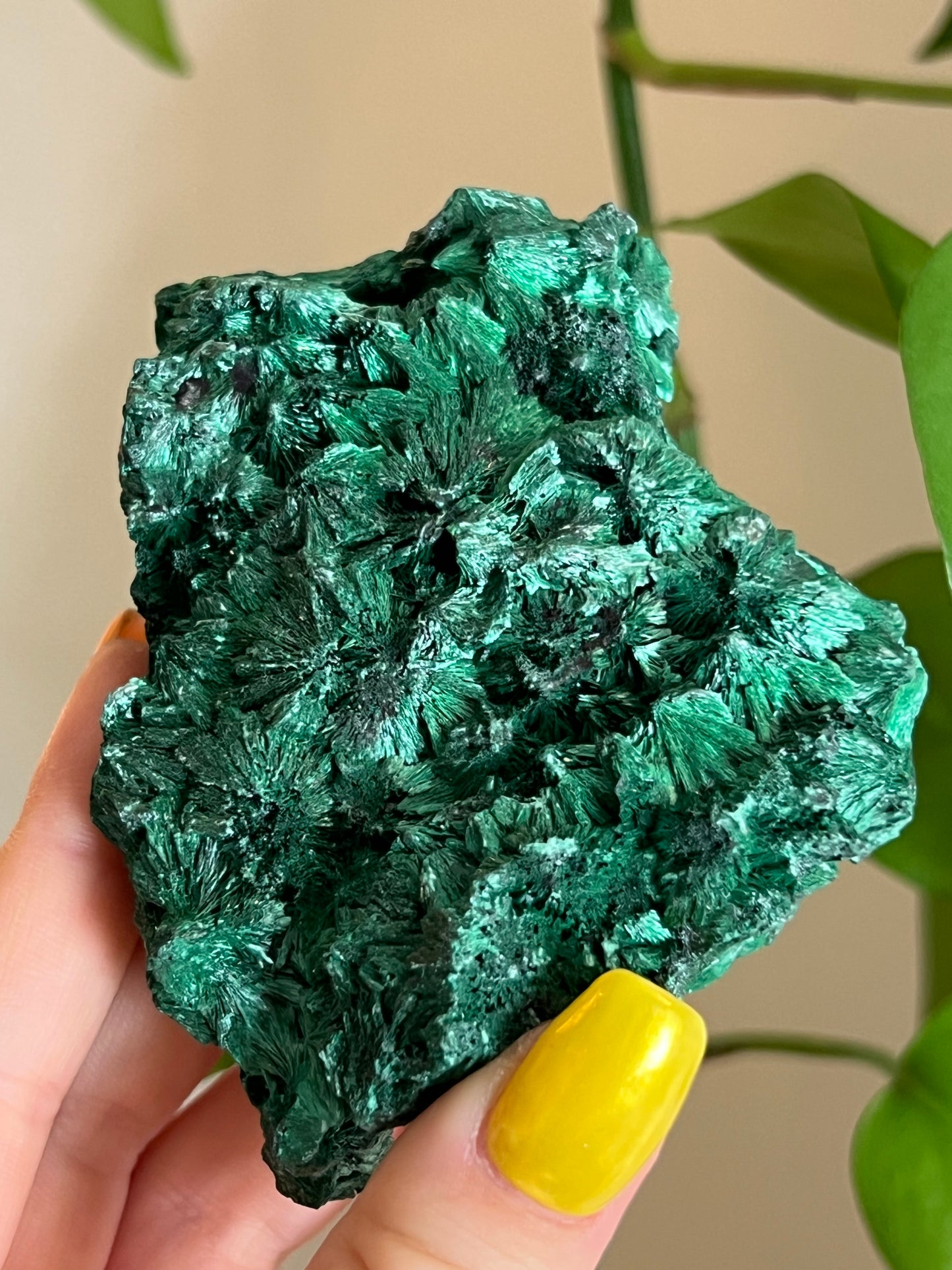 Velvet Malachite Raw C