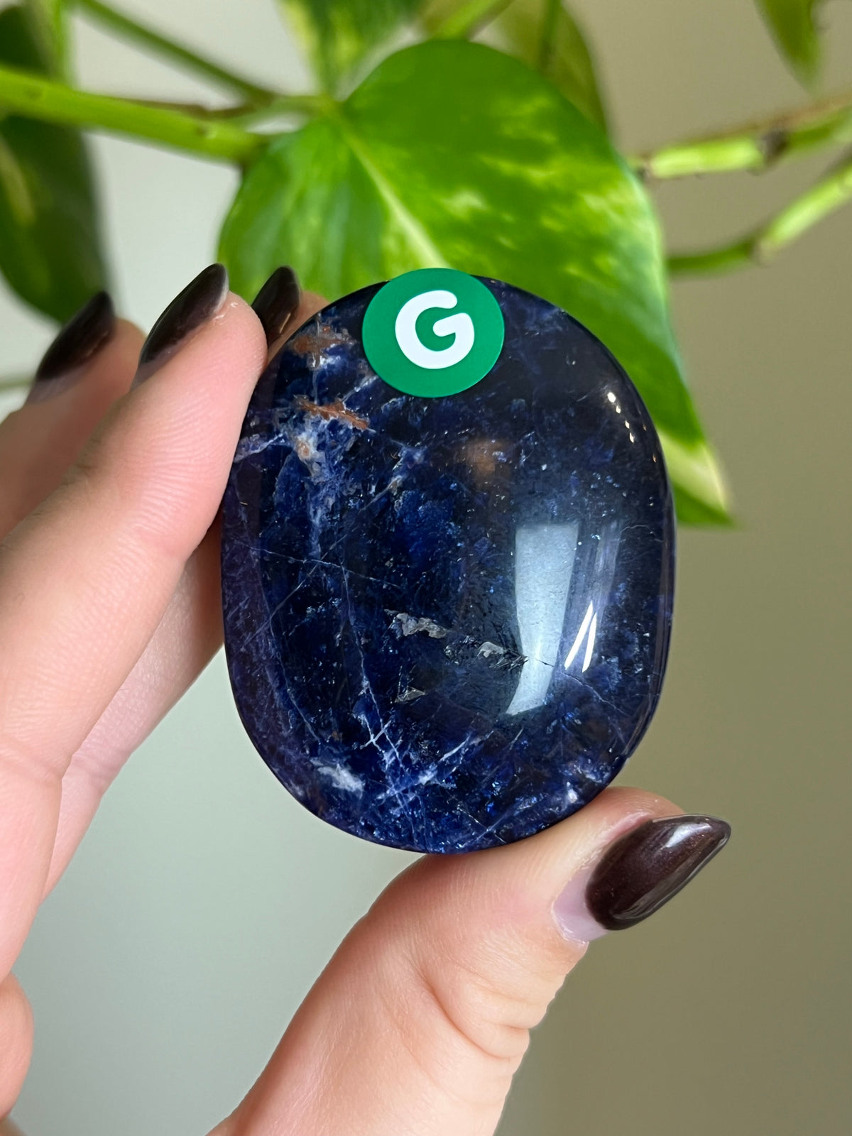 Sodalite Palm Stone - G