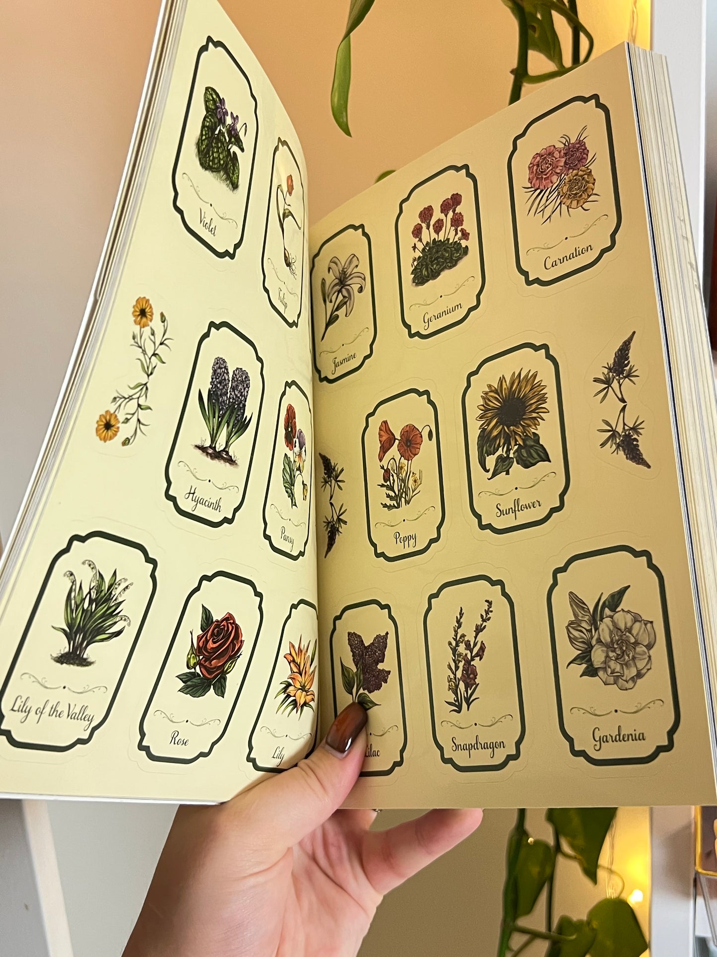 The Green Witch's Sticker Book
