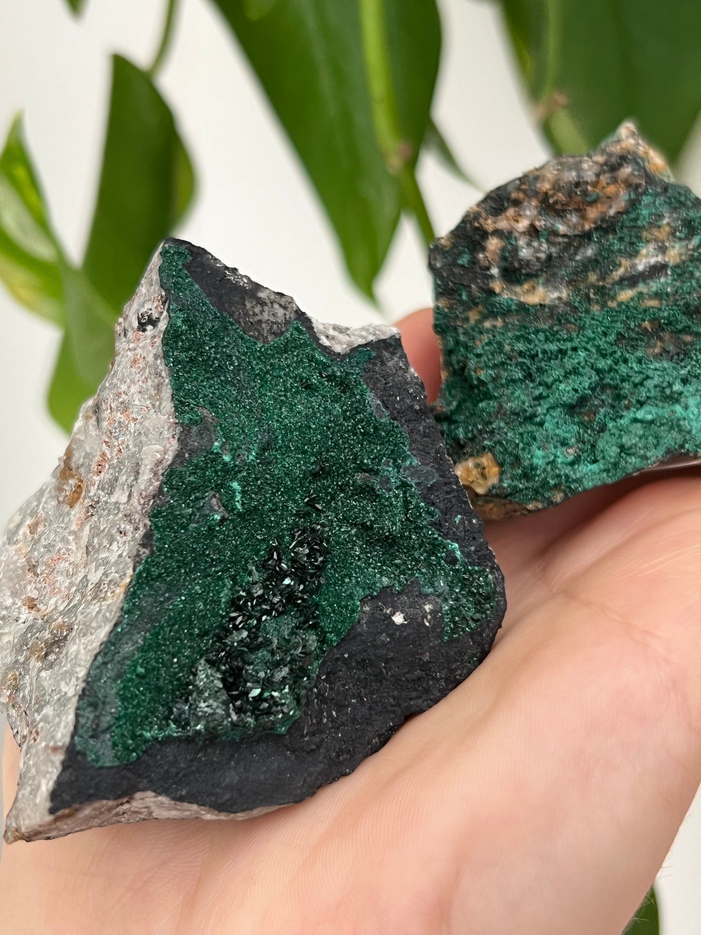 Botryoidal Malachite - Intuitively Chosen