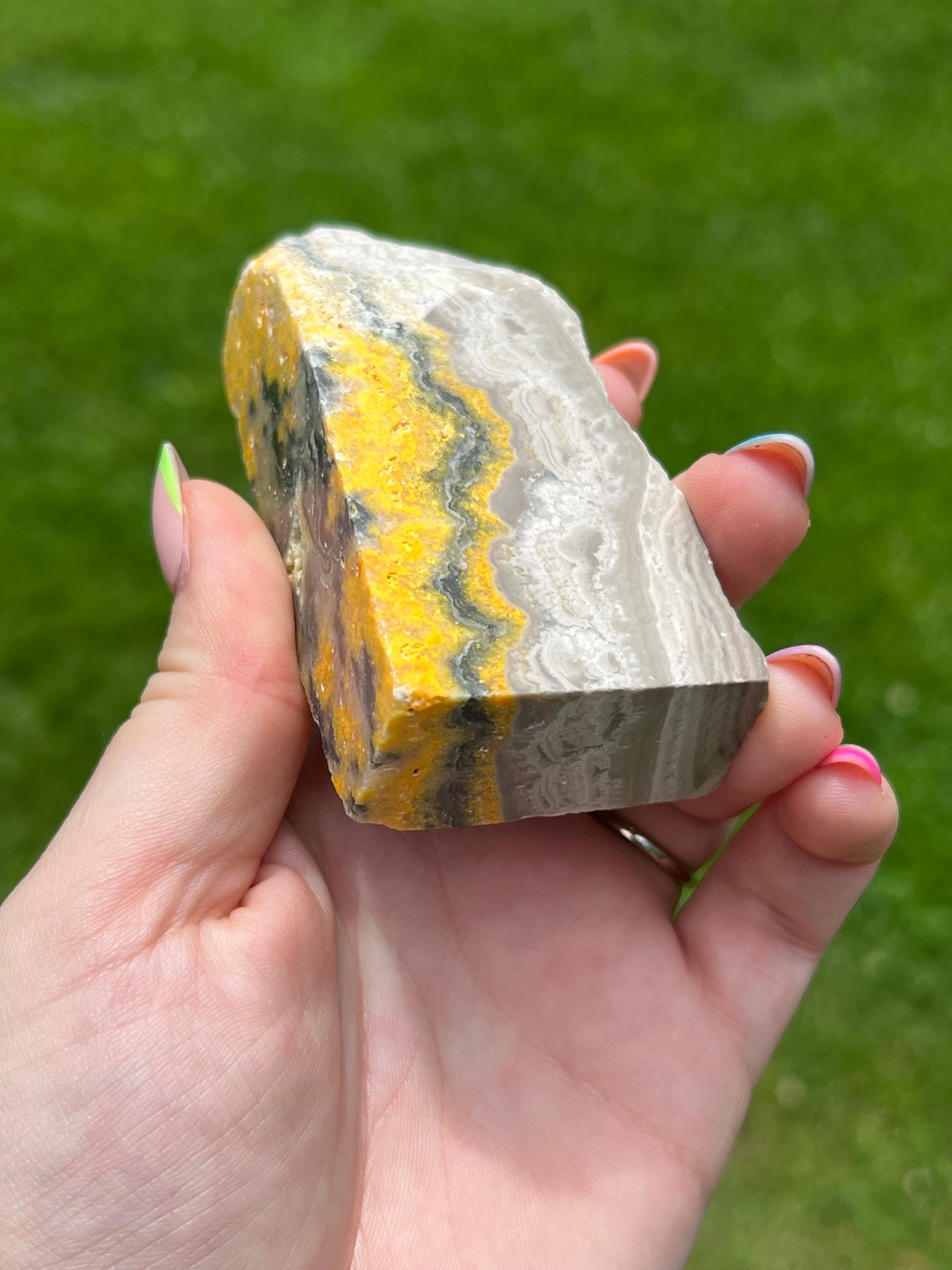 Bumblebee Jasper Freeform đ
