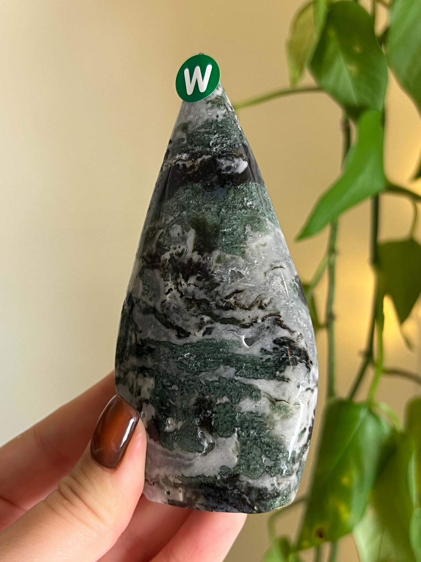 Moss Agate Freeform - W
