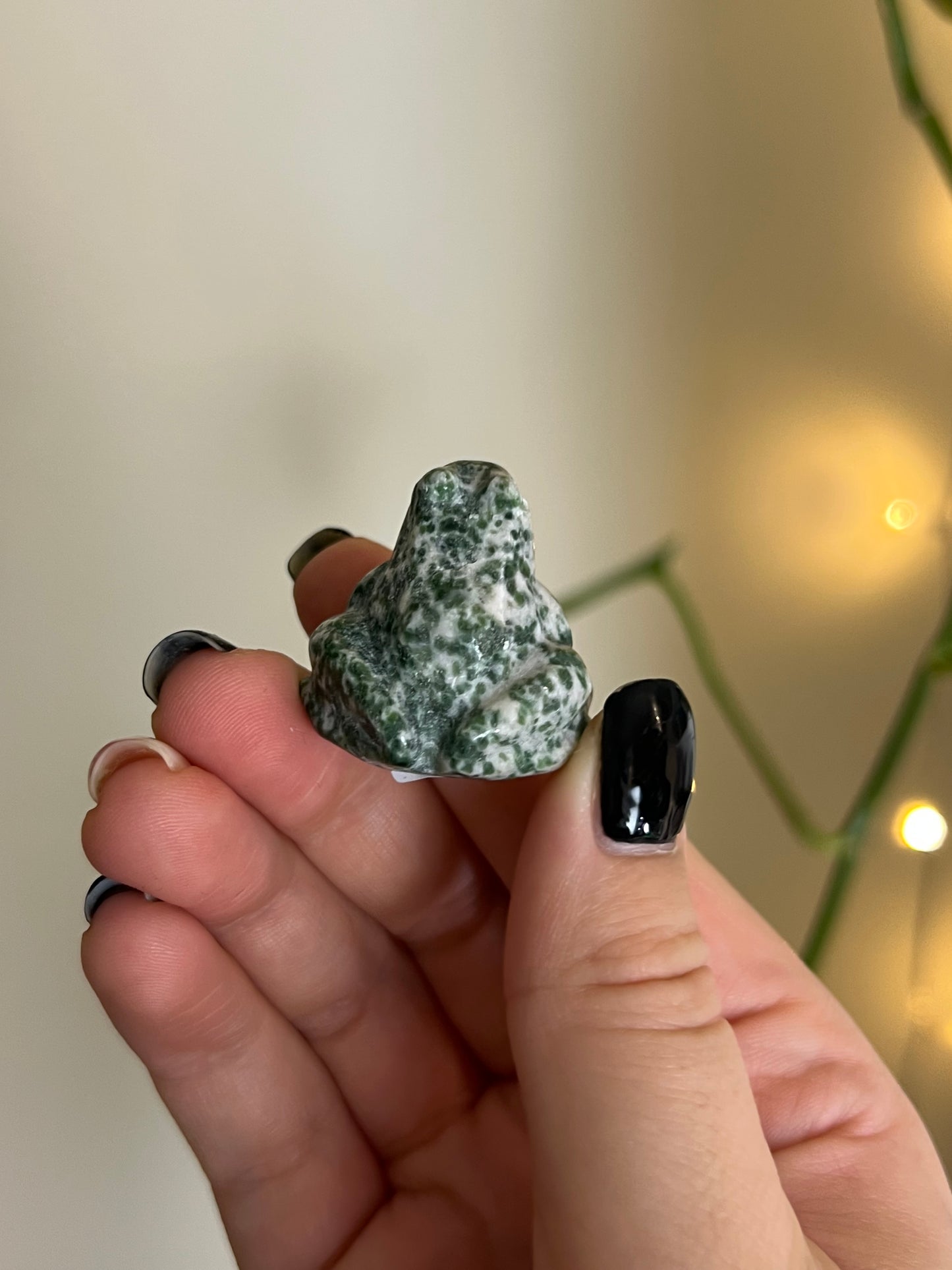 Green Spot Jasper Frog - Intuitively Chosen