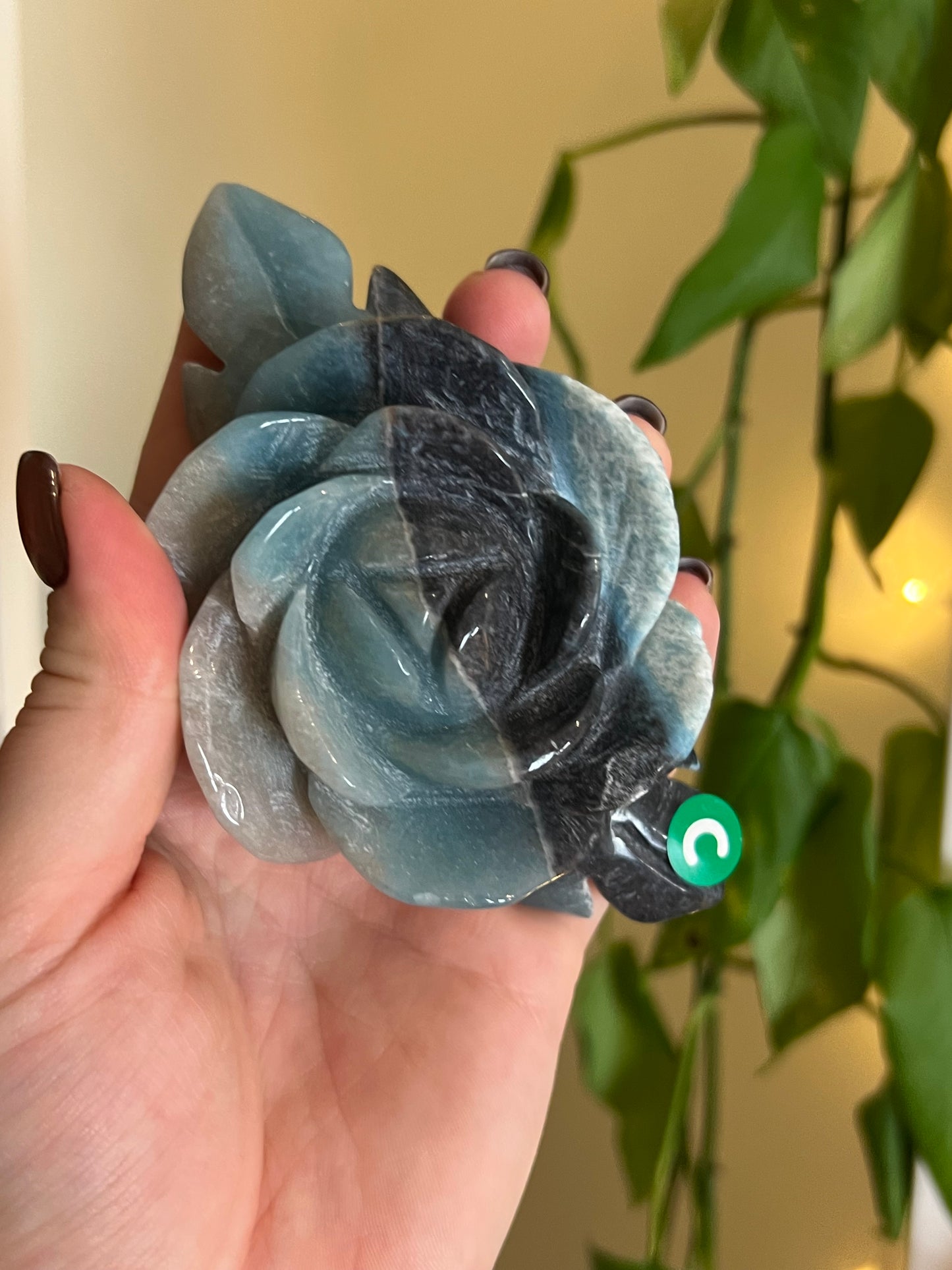 * Imperfect *Trolleite Large Flower - C