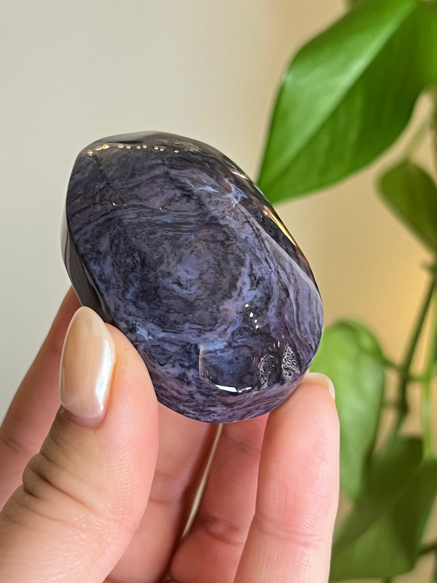 Unique Ocean Jasper Palm Stone
