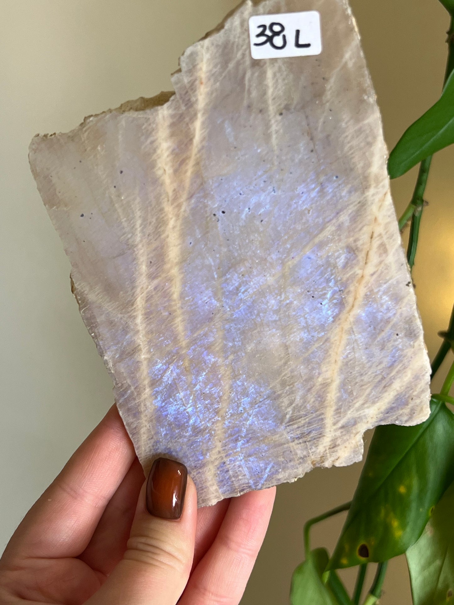 Flashy Moonstone Slab - D