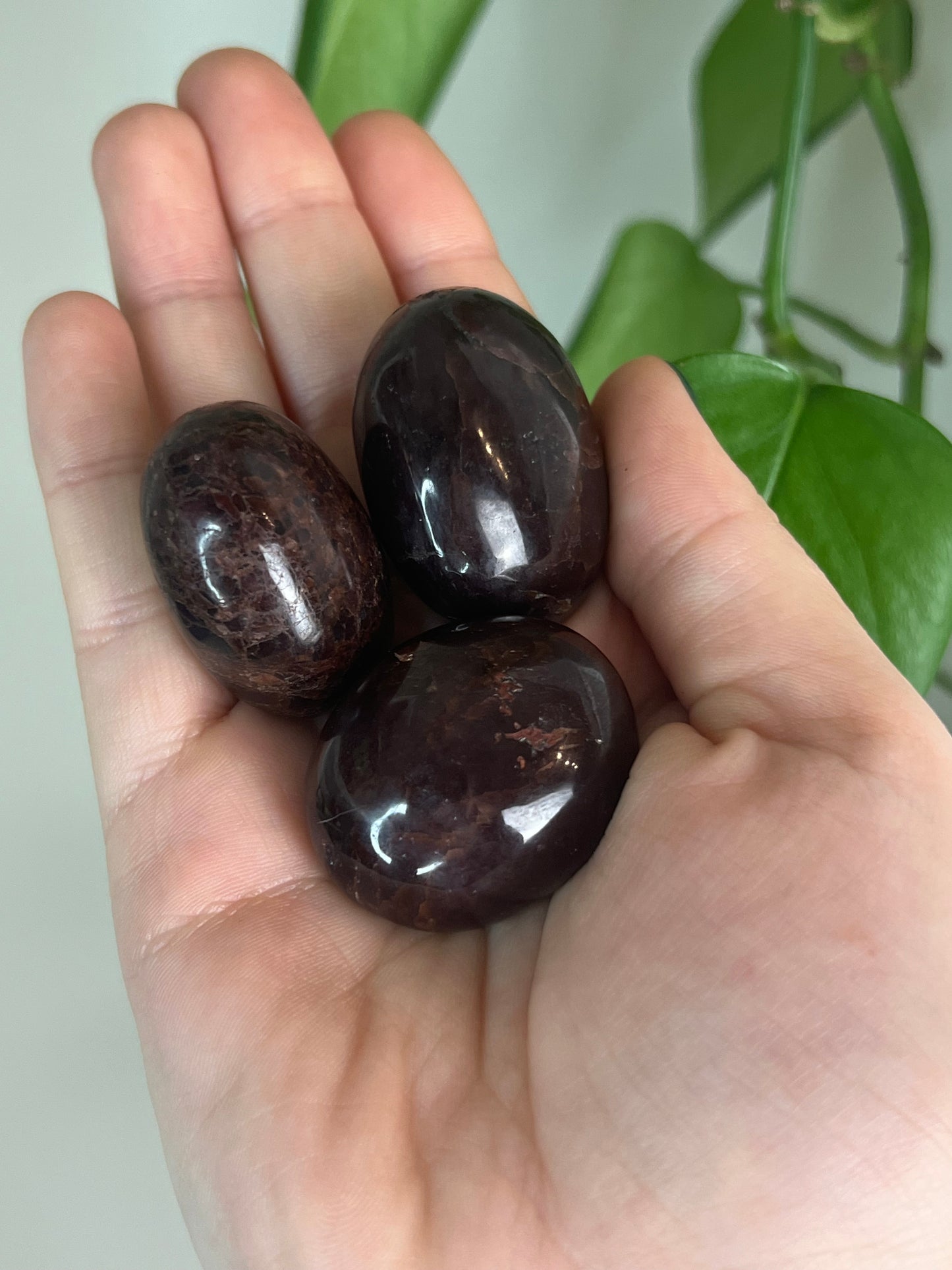 Star Garnet Tumbled