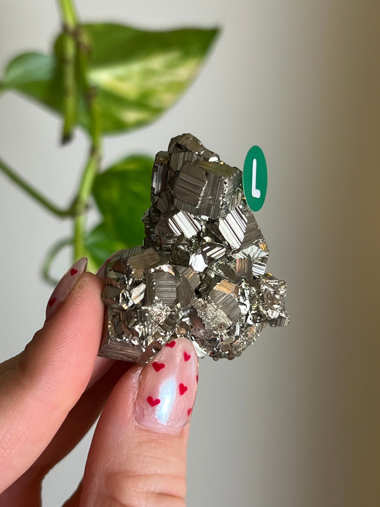 Pyrite Cluster - L
