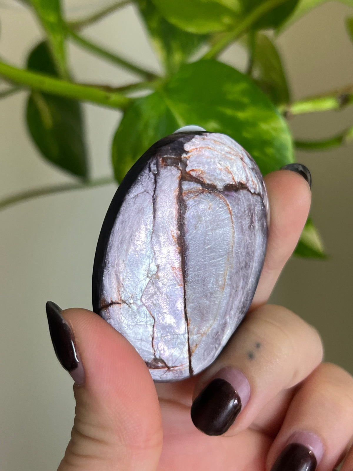 Flashy High Quality Lepidolite Large Palm Stone - O