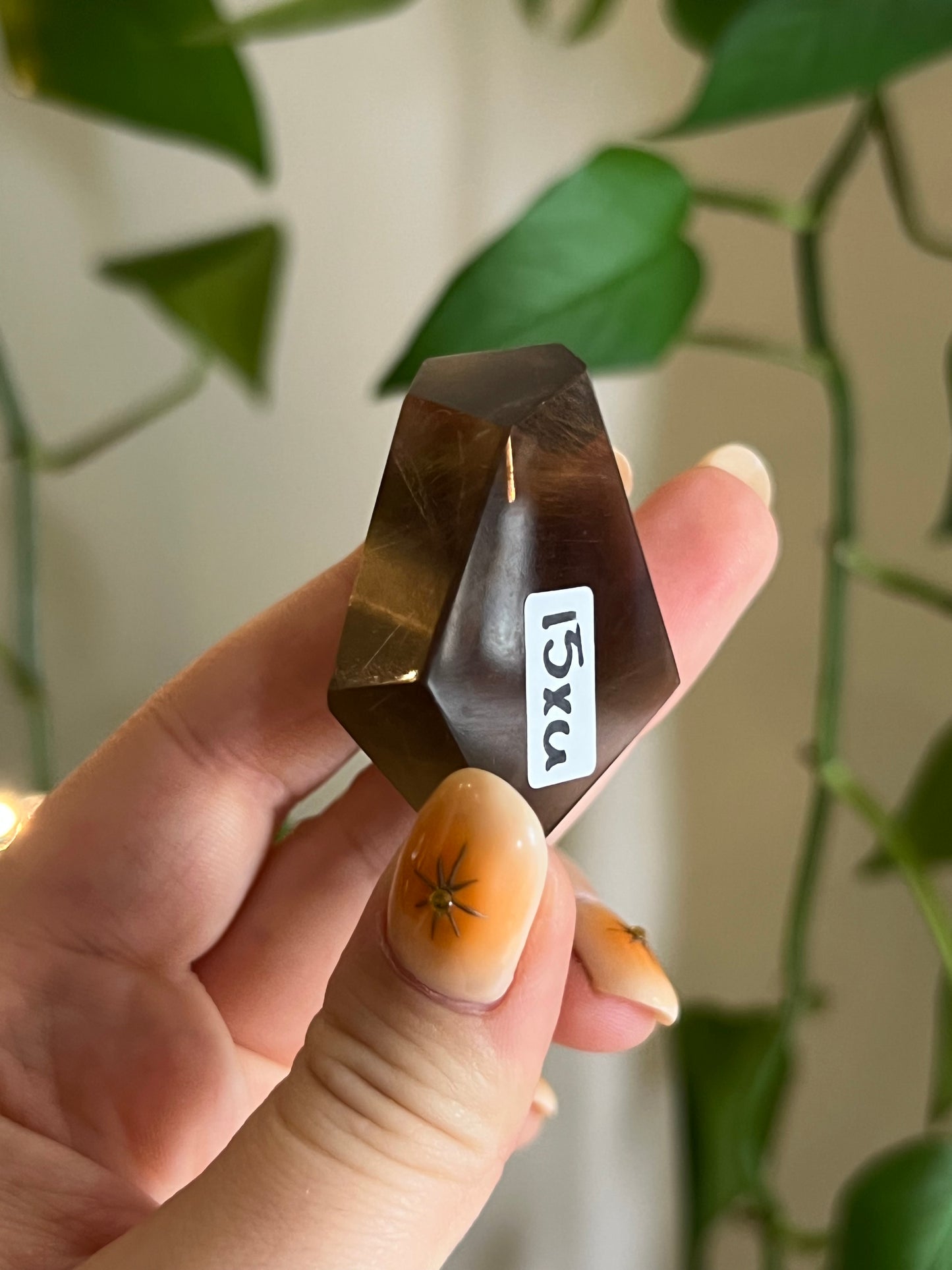 Smoky Quartz Gusher - XU