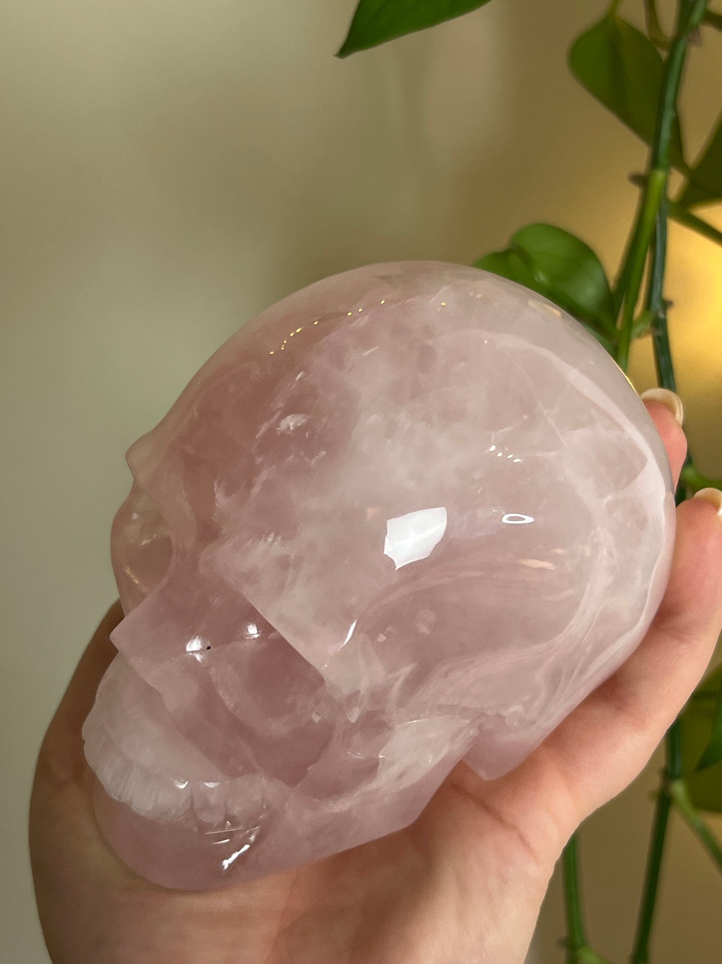 High Quality Rose Quartz XLarge Statement Skull