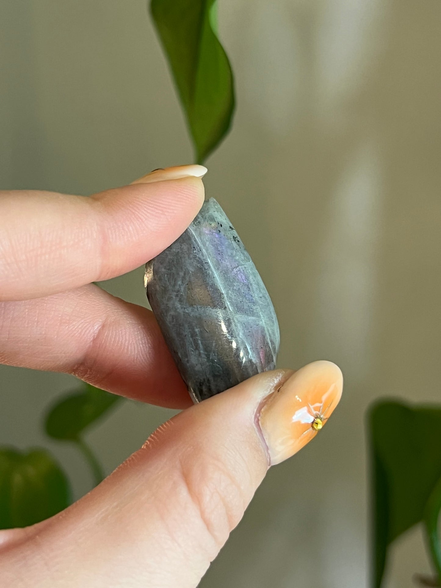 Labradorite Cabachon