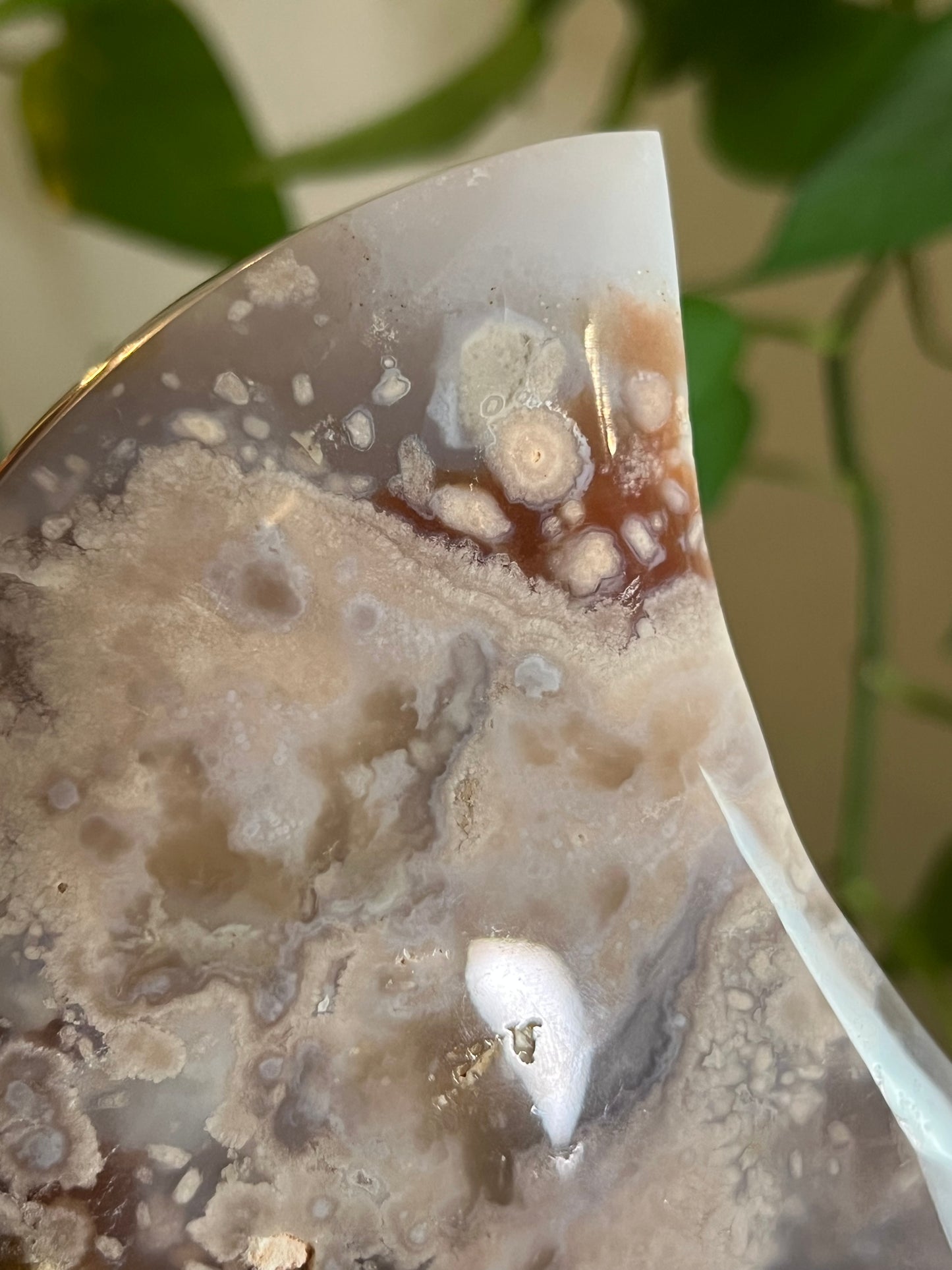 Flower Agate Moon Stand - A