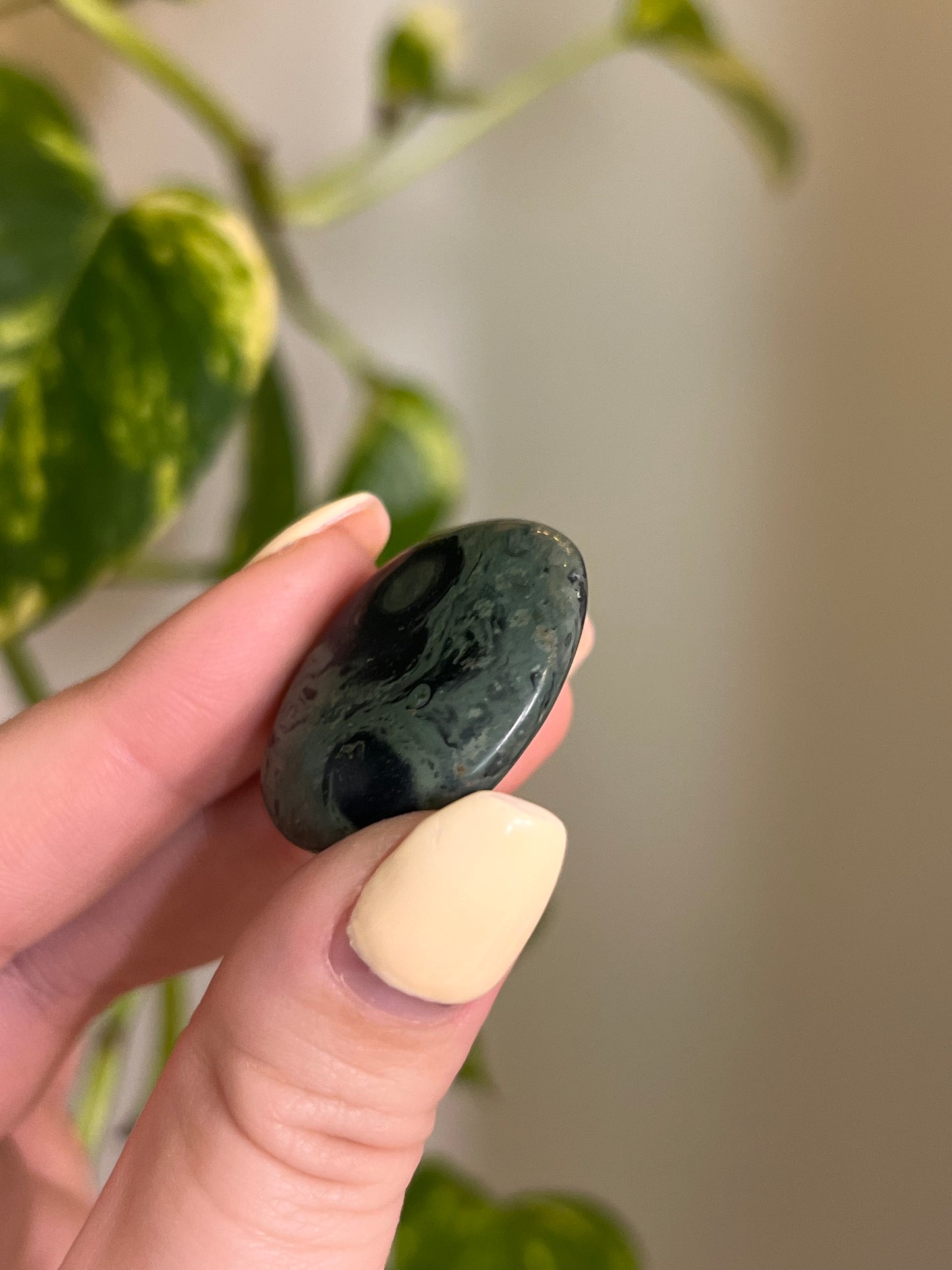 Kambaba Jasper Button