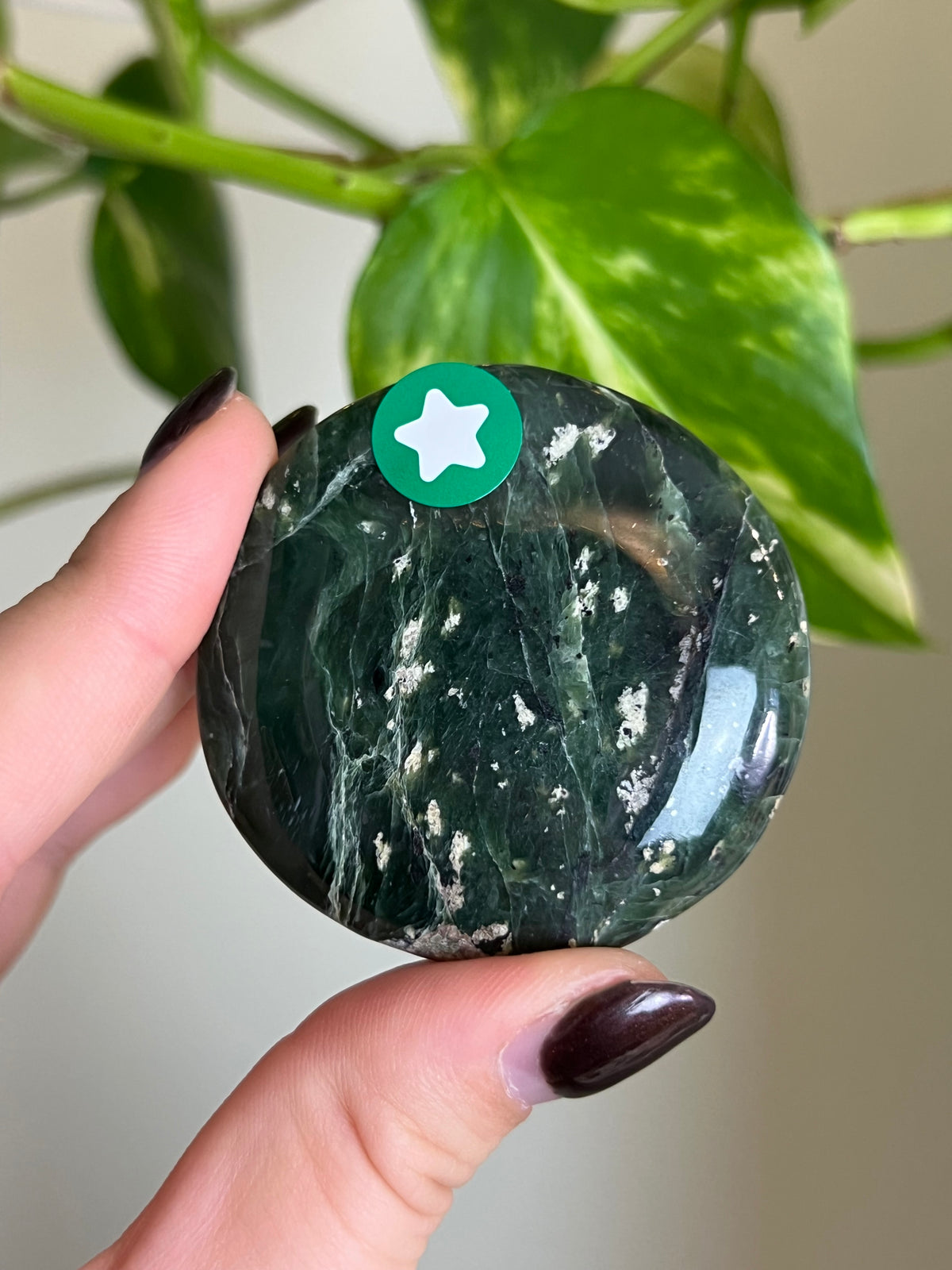 Moody Nephrite Jade Flat Stone - ⭐