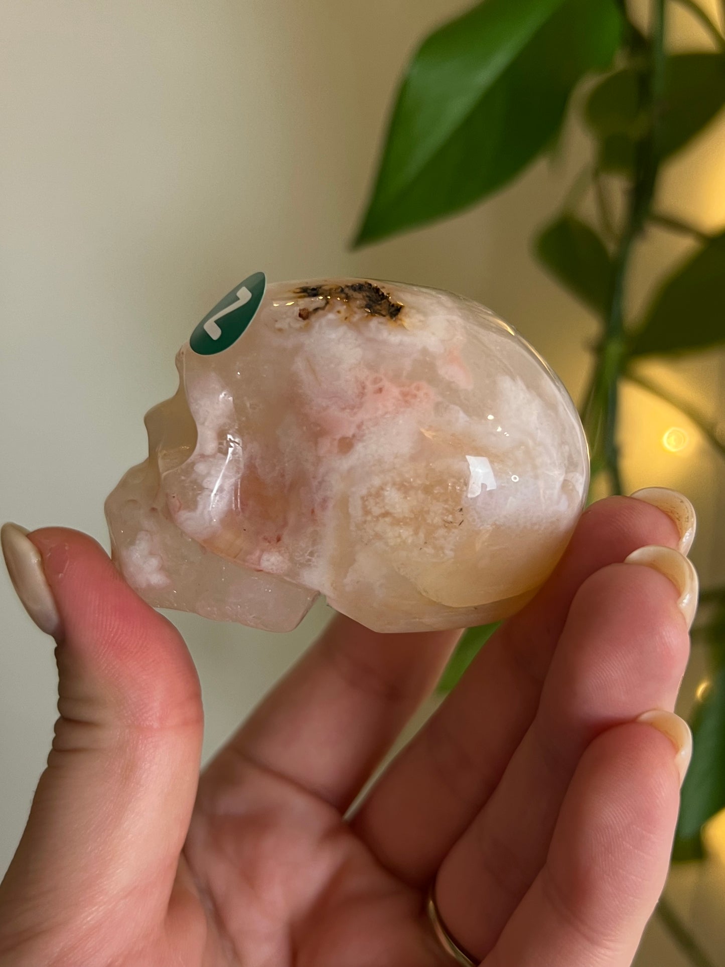 Pink Amethyst x Flower Agate Skull - Z