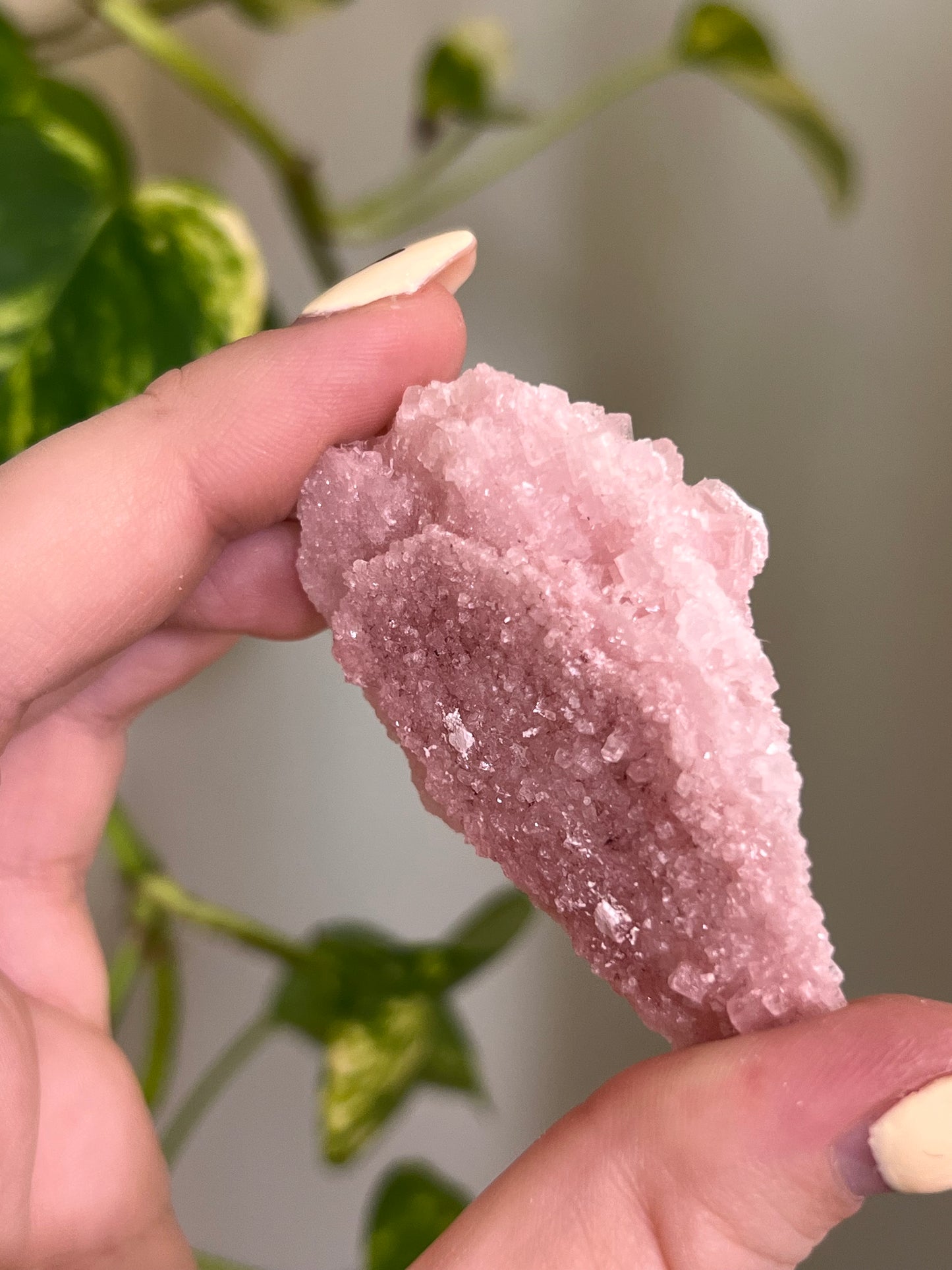 Pastel Pink Halite Specimen - L
