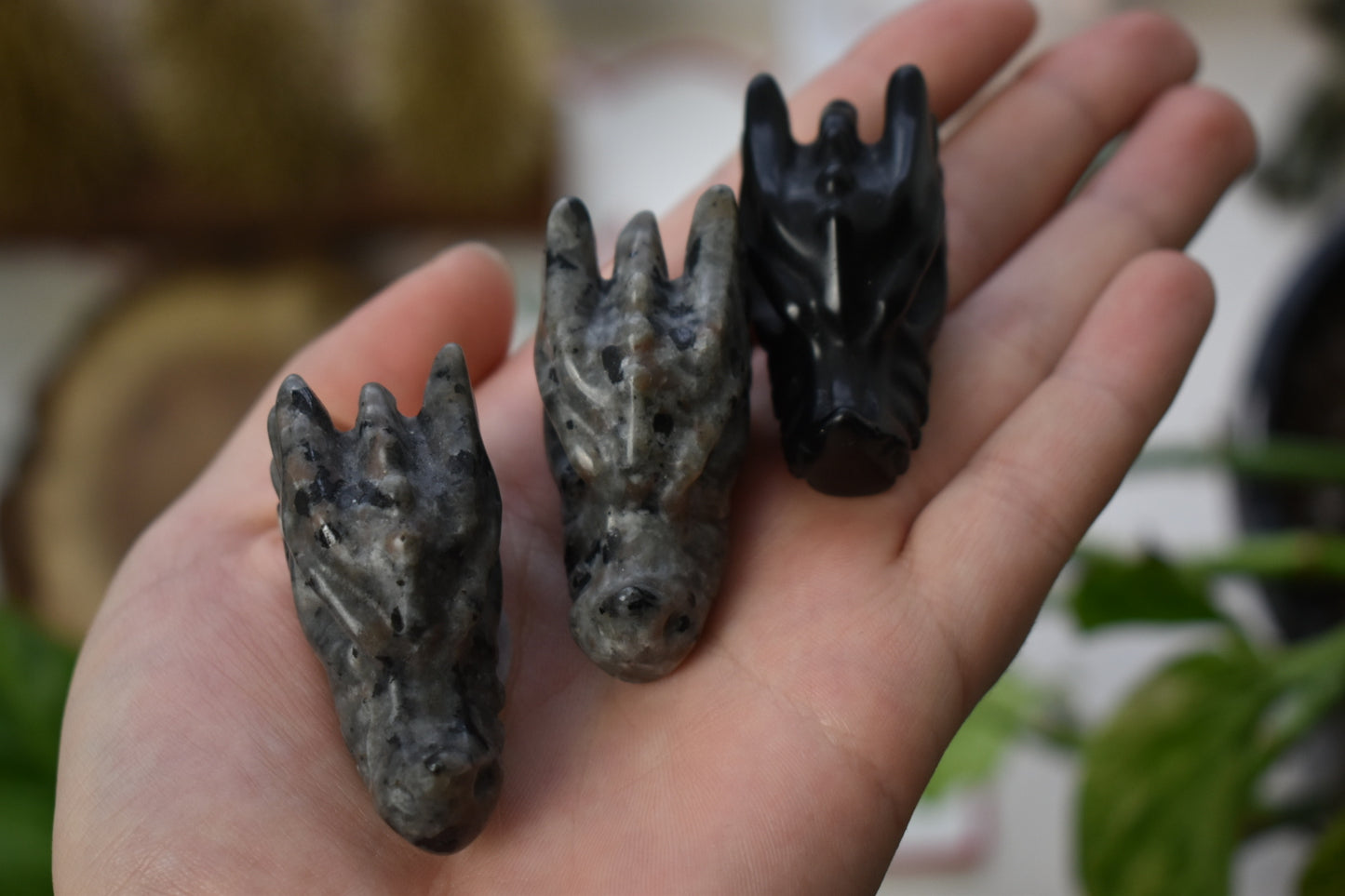 Dragon Head